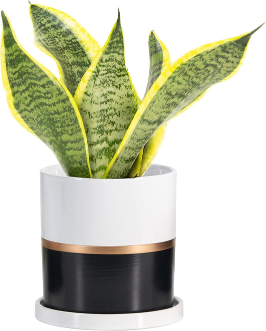 Ekirlin 6 inch Plant Pot - Ceramic Flower Planters Indoor - Modern Succulents Containers with Drain Hole Saucer, Decorate Home, Office & Outdoor (Black)
