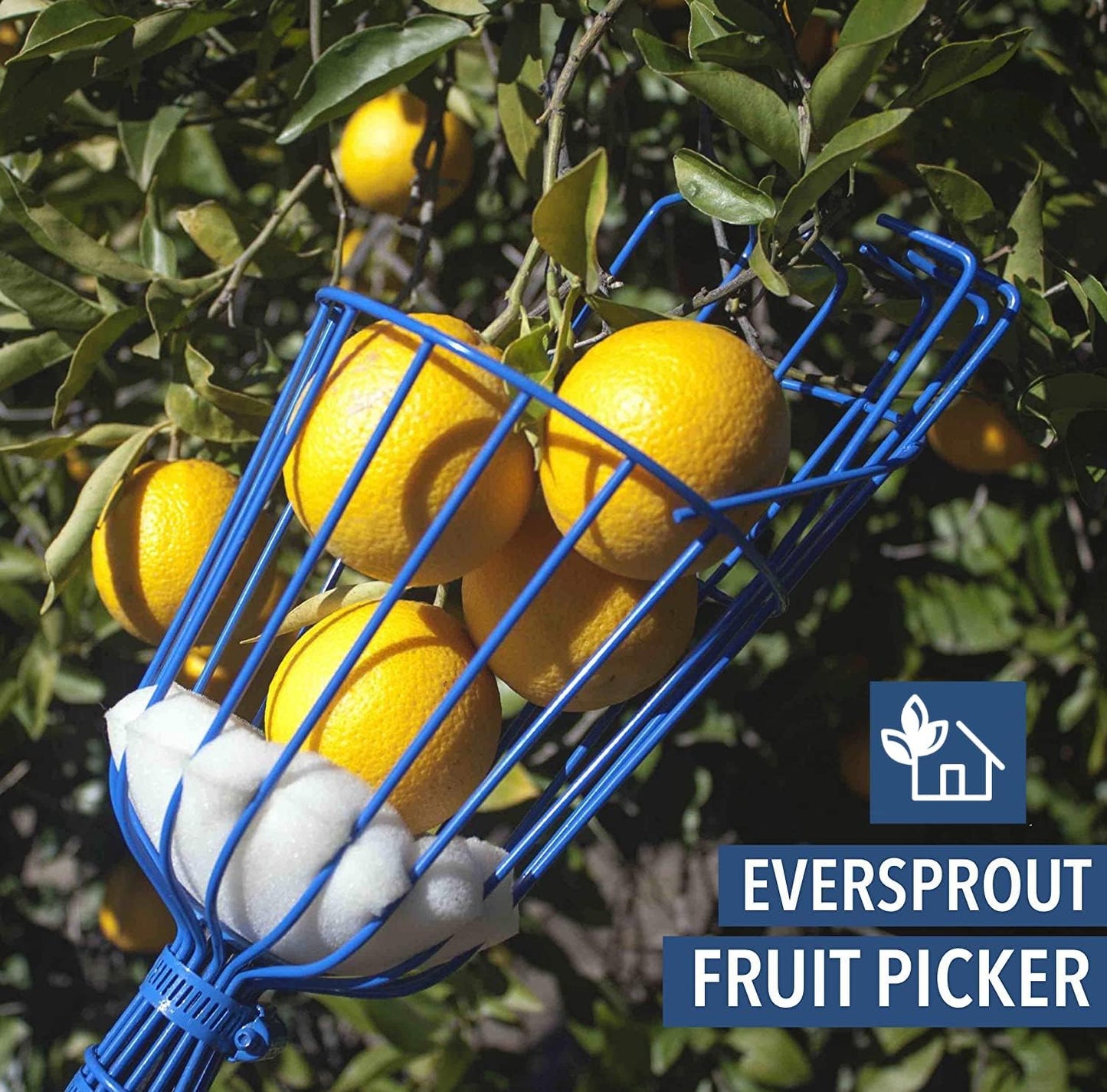 EVERSPROUT 1.5-3ft Durable Fruit Picker with 10+ Foot Reach – Telescoping Fruit Picker Pole, Lightweight Twist-On Fruit Picking Tool with Basket, Aluminium Extension Pole for Tree Fruit Harvesting