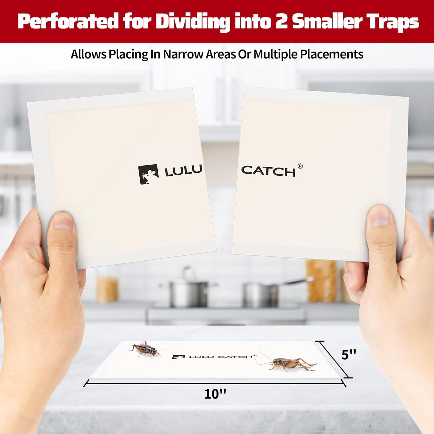 LULUCATCH Cricket Insect Glue Traps - 6 Pack Bug Cockroach Sticky Traps, Large Spider Trap with Pre-Baited Attractant, Highly Effective Glue Boards Indoor, Non-Toxic Pet Safe Pest Control