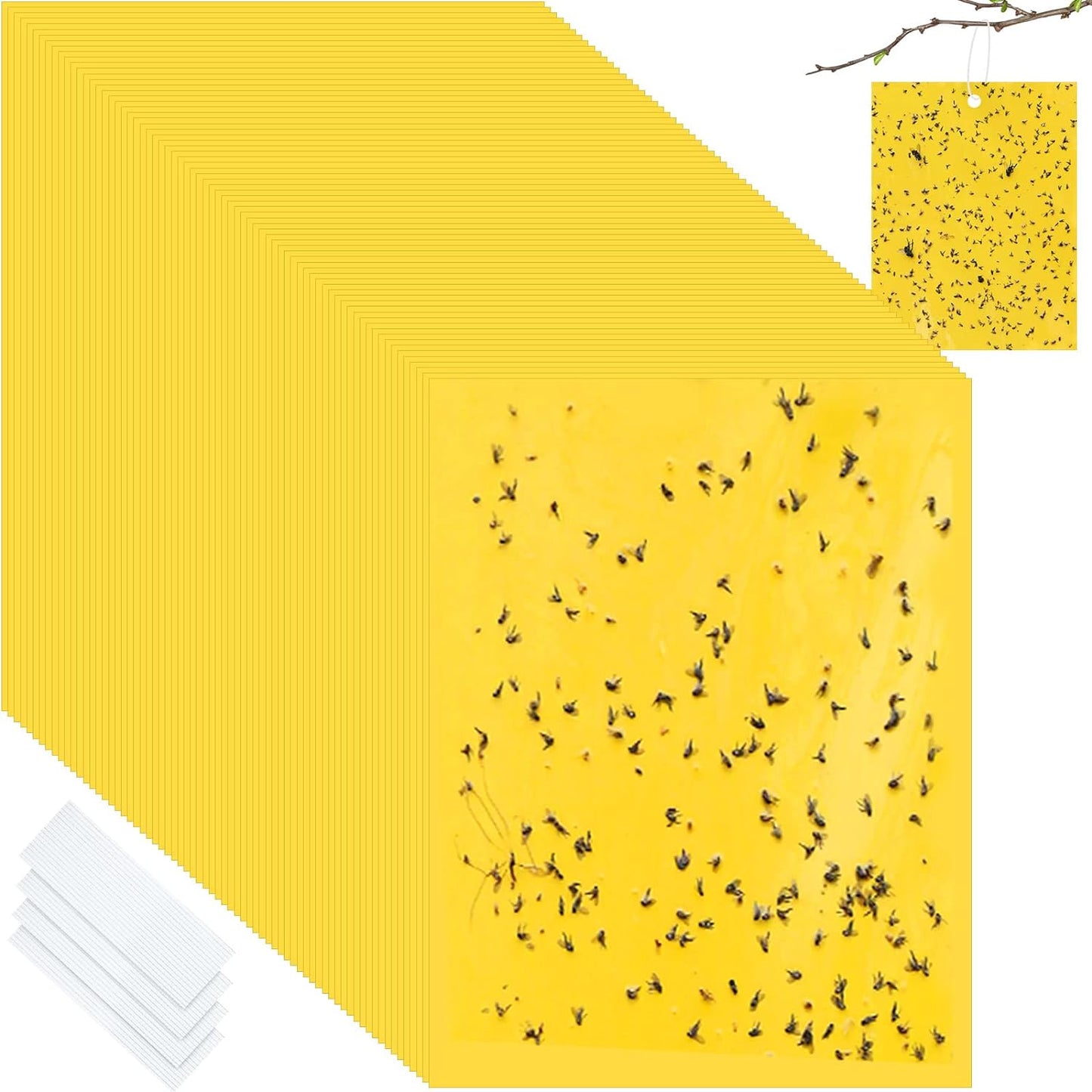 Qualirey 150 Pcs 6 x 8 Inch Sticky Traps for Plant Double Sided Sticky Trap for Gnats with Twist Ties Fly Traps for Fruit Insect Fungus Bugs Indoor Outdoor (Yellow)