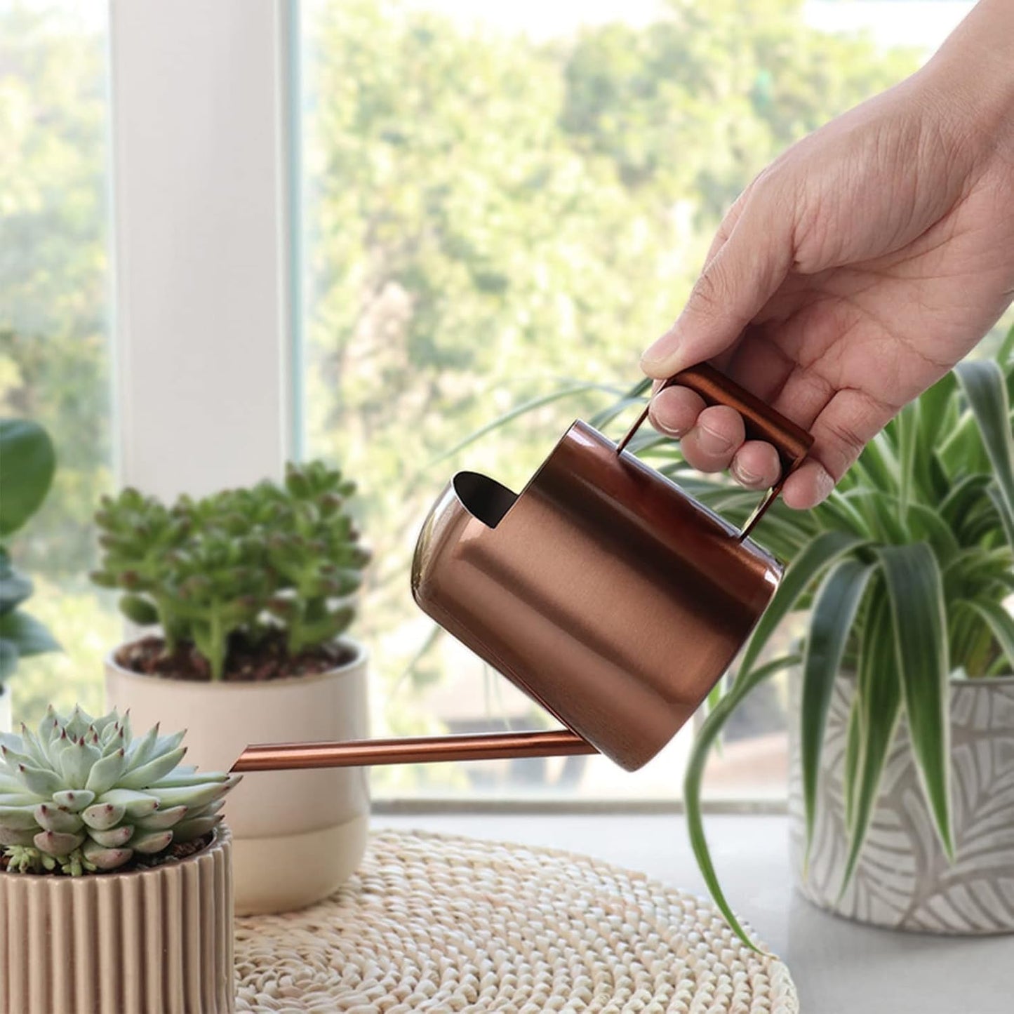 Watering Cans, 10oz/300ml Stainless Steel Long Spout Small Watering Sprinkling Pot, Indoor Outdoor Garden Flower Succulents Plant Watering Cans, Stylish Gardening Decoration(Bronze)
