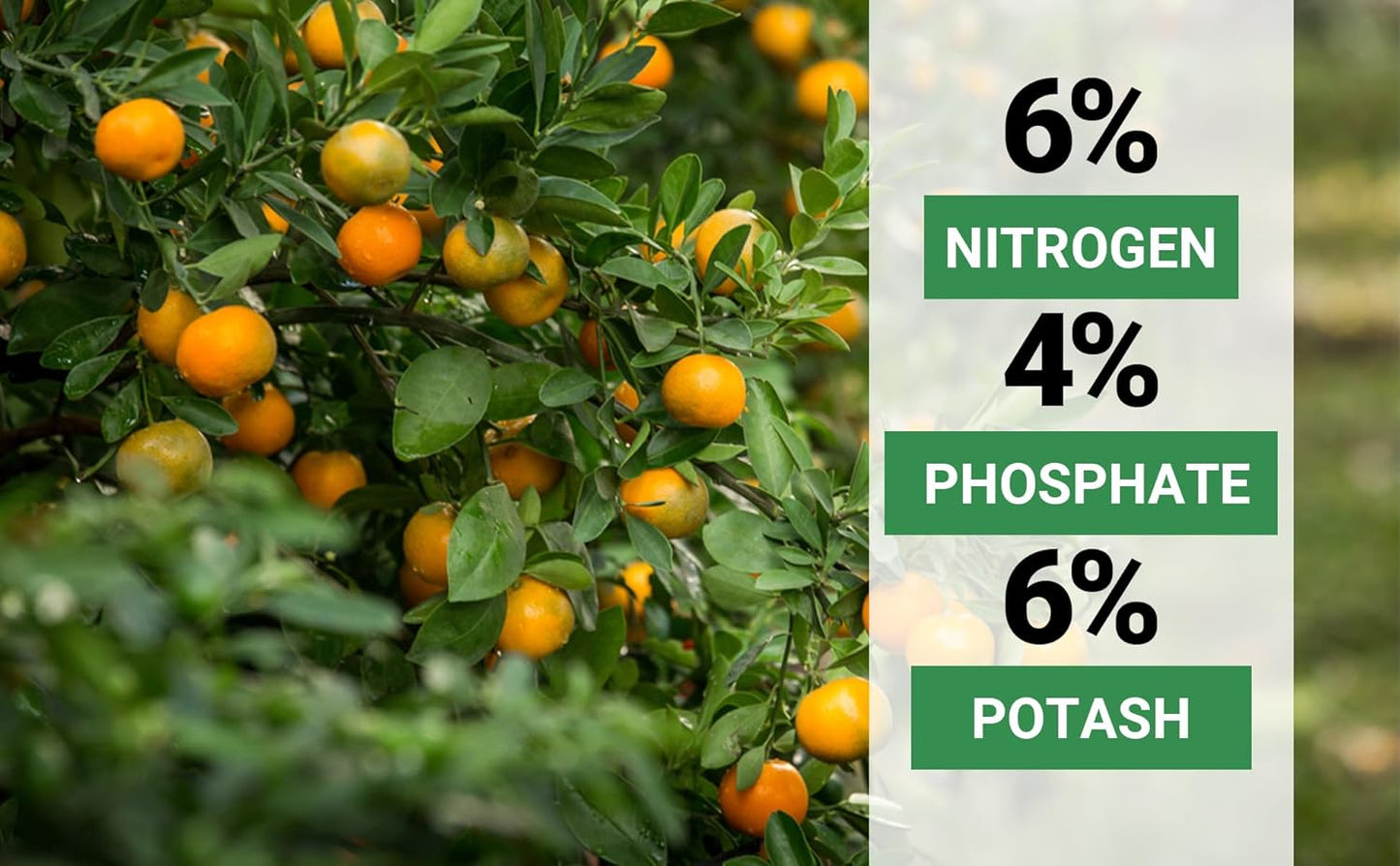 6-4-6 Avocado and Citrus Tree Professional Fertilizer Plant Food for Outdoor/Indoor Gardening; Quick-Release Nitrogen Fertilizer; Orange, Lime, Avocado and Lemon Tree Fertilizer (1 Quart)