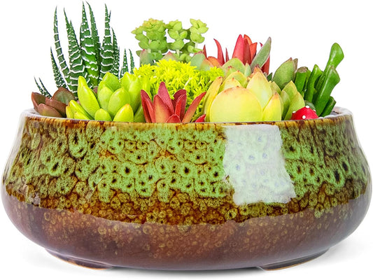 ARTKETTY Succulent Pots - 8 Inch Plant Pot, Large Bonsai Pots with Drainage, Ceramic Planters for Indoor Outdoor Plants, Round Shallow Cactus Flower Plant Container Bowl Decorative Home Garden