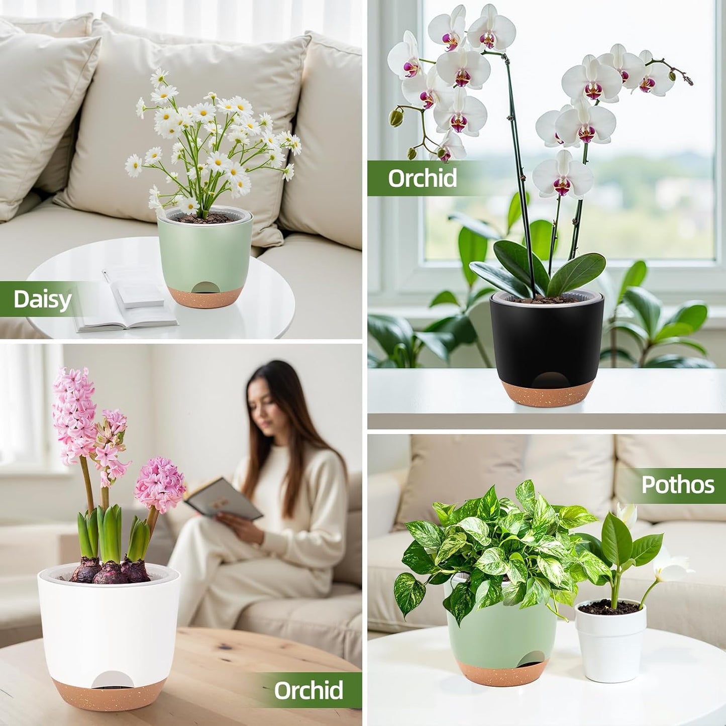 5.8 Inch Self Watering Planters for Indoor Plants with Bottom Watering,2Pack Flower Plant Pots for Outdoor with Drainage, Durable Plastic planters Pots(White)