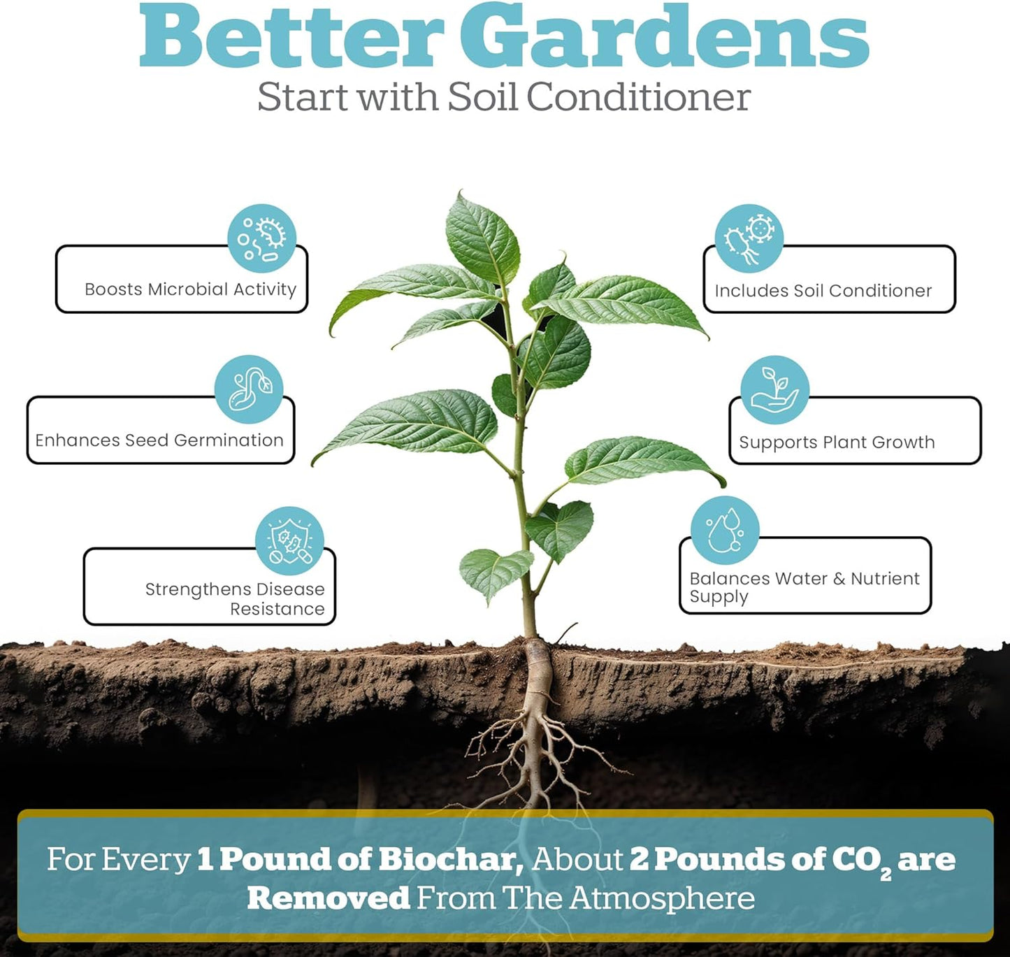Wakefield Premium Organic Biochar Soil Amendment & Soil Conditioner – Certified Carbon-Negative Nutrient-Locking, Water-Efficient Bio Char for Plants & Lawns - Soil Amendments for Lawn - 1 CF