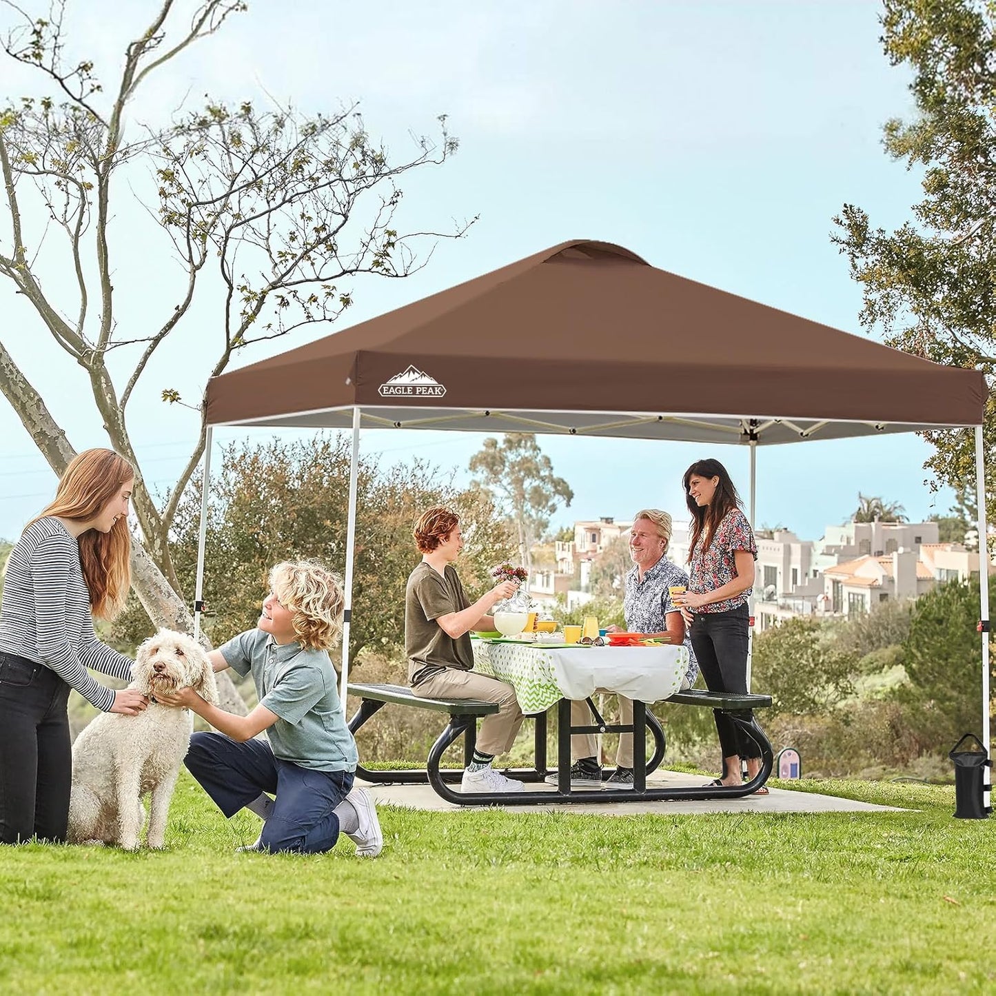 EAGLE PEAK Pop Up Canopy Tent with Wheeled Carry Bag, 8 Stakes, 4 Ropes, 4 Weight Bags, Easy Set Up Tent Canopy, 10x10 ft, 100sqft of Shade, Dark Brown