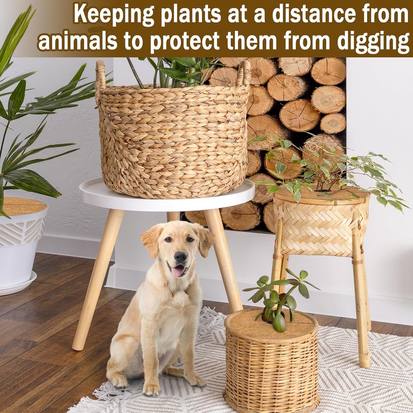 ZeeDix 3 Pack 12 Inch Coconut Fiber Mulch Ring, 100% Natural Coco Coir Tree Ring Mulch Mat Plant Protector Mat, Coconut Coir Discs Plant Pot Soil Cover for Indoor Outdoor Plants, Garden Decoration