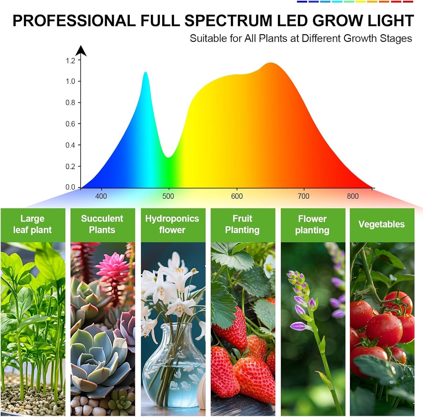 2-Head Grow Light with Stand 50W, FECiDA 2025 Grow Lights for Indoor Plants, Full Spectrum LED Plant Grow Light for Houseplants, Bonsai Tree, 4,8,12,16 Hr Timer and 360° Gooseneck