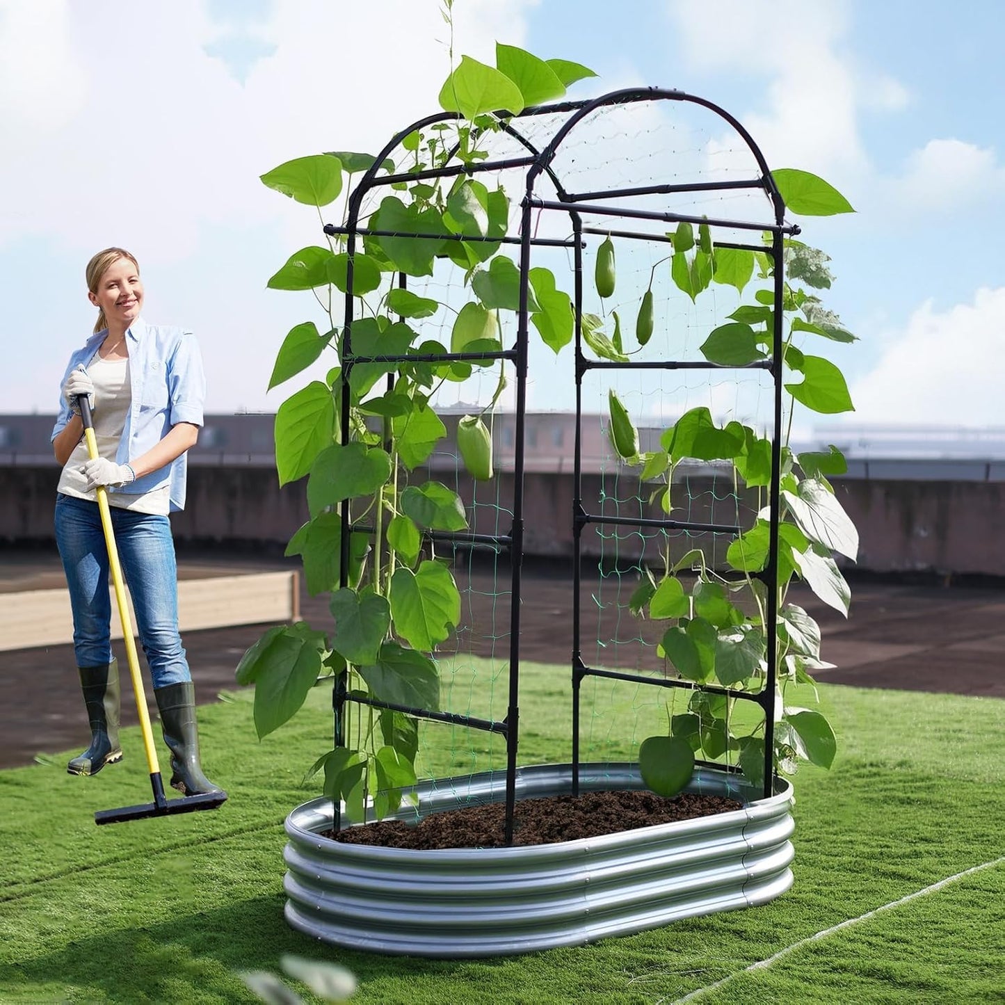 Lalahoni Garden Arch Trellis for Climbing Plants Outdoor, 80 Inch Tall Grape Trellis Metal Vine Plants Support Flower Vegetable Tomato, Cucumber Trellis for Raised Bed, Black
