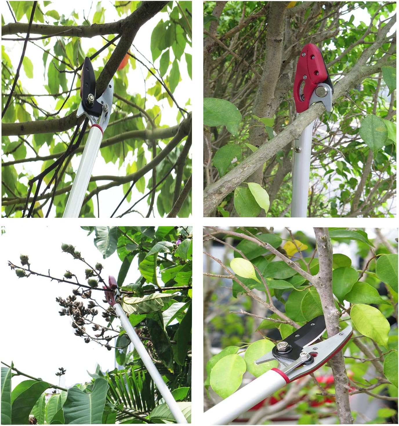 4 Feet Cut and Hold Tree Pruner, Rotation Pole Tree Trimming, Long Reach Fruit Picker, Branches Bypass Lopper