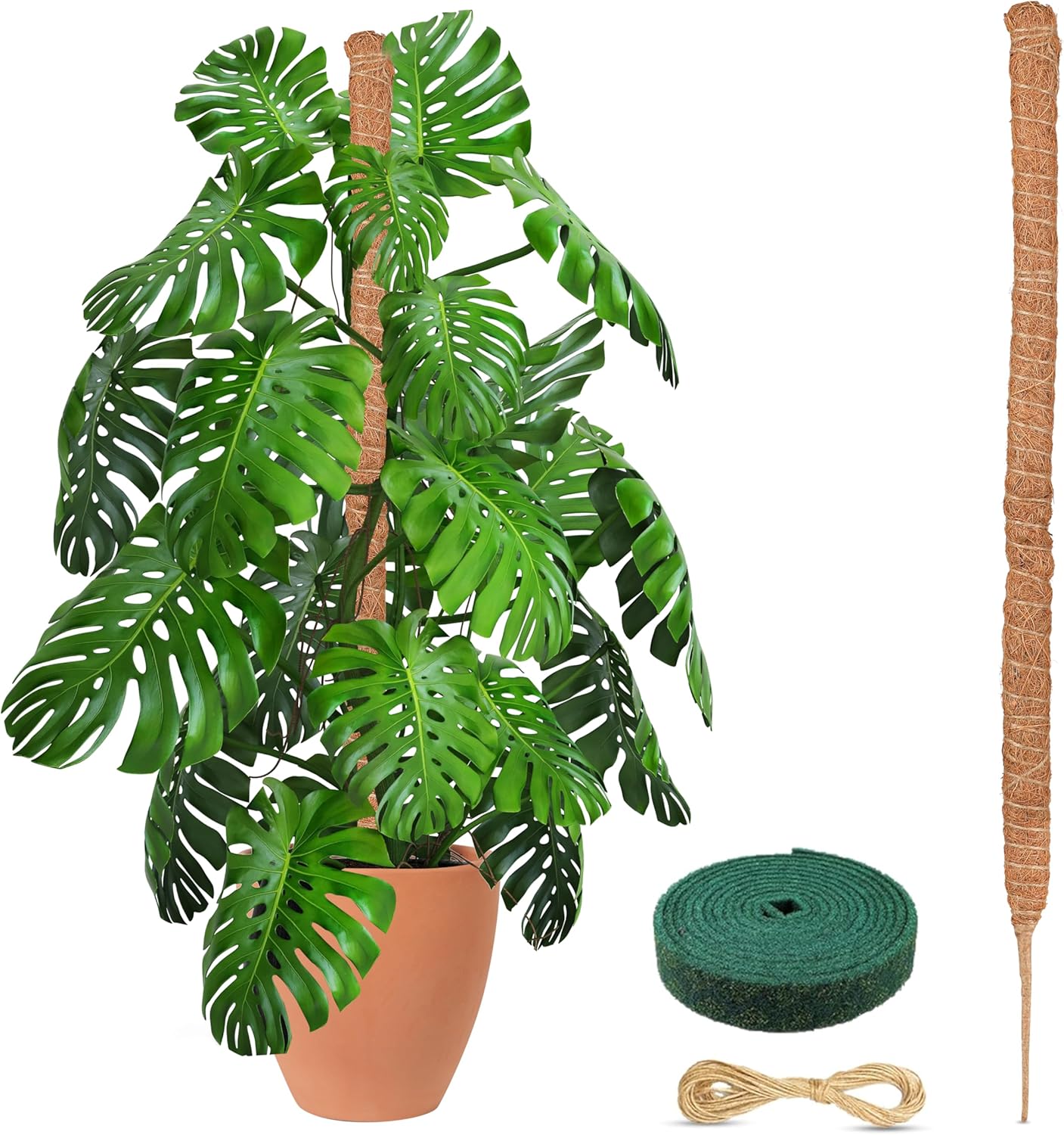 EcoNour Tall Moss Pole for Plants (1-Pack) 48-Inch | Large Monstera Plant Support for Climbing and Growth | Elevate Your Indoor Garden | Tall Plant Support for Indoor Potted Plants to Grow Upwards