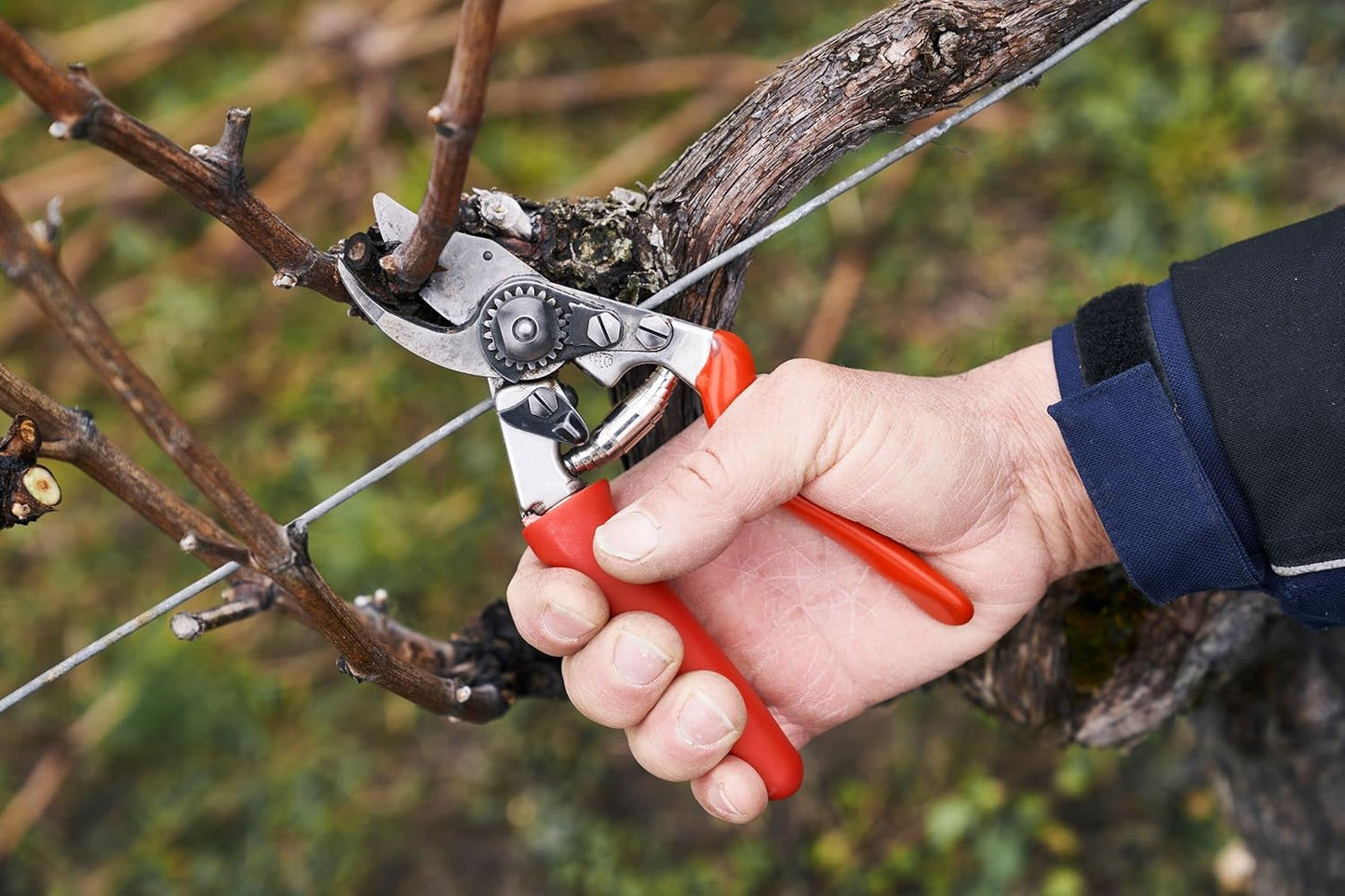 Felco F 15 Pruning Shears – 4.7" Garden Clippers with Rubber Grip & Anvil Blade | Hand Pruners for Gardening | Garden Tool Cutter with Forged Aluminum Handle, Lightweight Precision for Small Hands