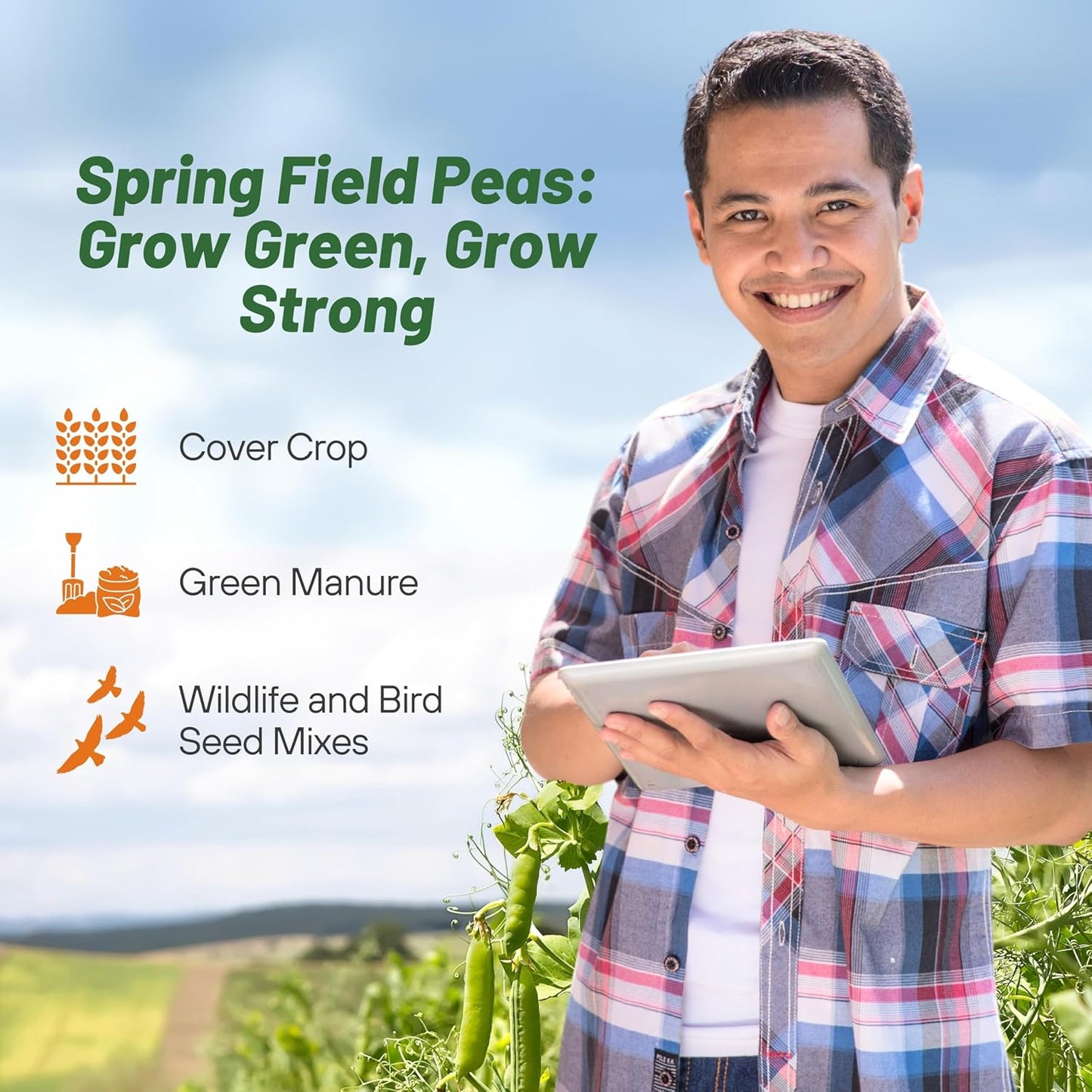 Outsidepride Dundale Spring Field Peas Seeds - 1 lb. Annual, High-Protein Legume & Cover Crop Seeds for Forage, Food Plot, Gardens & Pastures - Ideal for Improving Soil Health, & Erosion Control