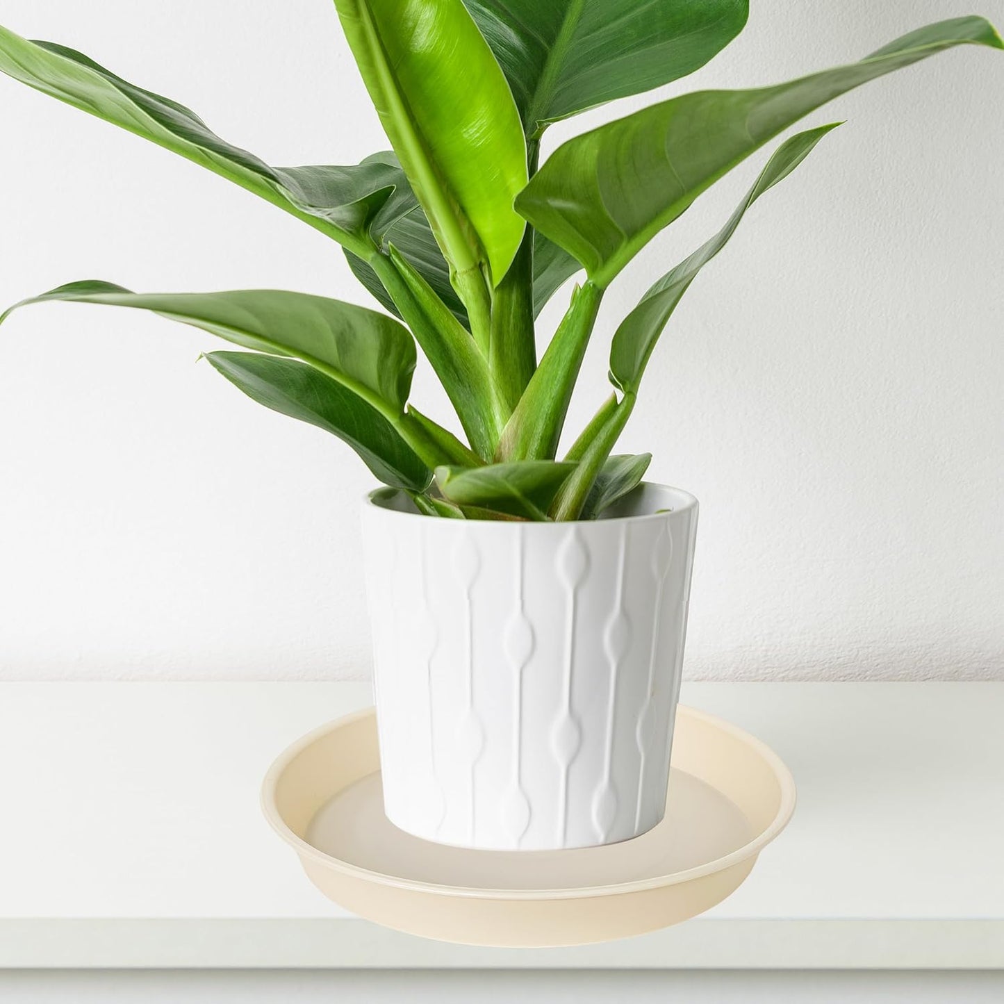 2 Pack of 14 inch Plant Saucers Bird Bath Bow Round, Plastic Plant Saucer Tray for Pots, White Planters for Indoor Plants, Plant Trays for Planter 12-15" (14", Beige)