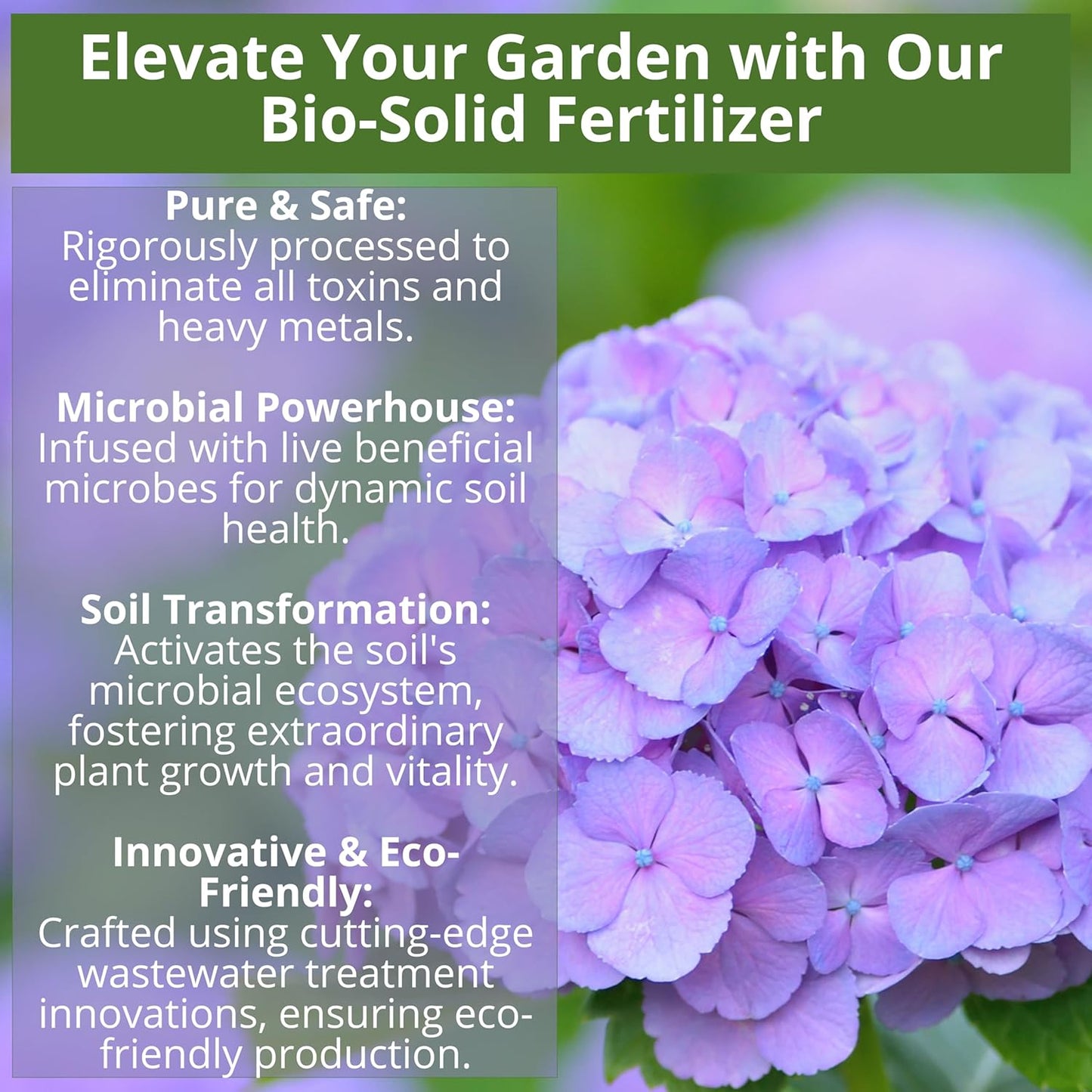 8-4-8 Acidic Fertilizer for Azaleas, Camellias (Camelia), Hydrangeas, Blueberries, Gardenias, Magnolia Trees, Evergreens, and Rhododendrons - Ideal Iron-Rich Plant Food (3 QUARTS)