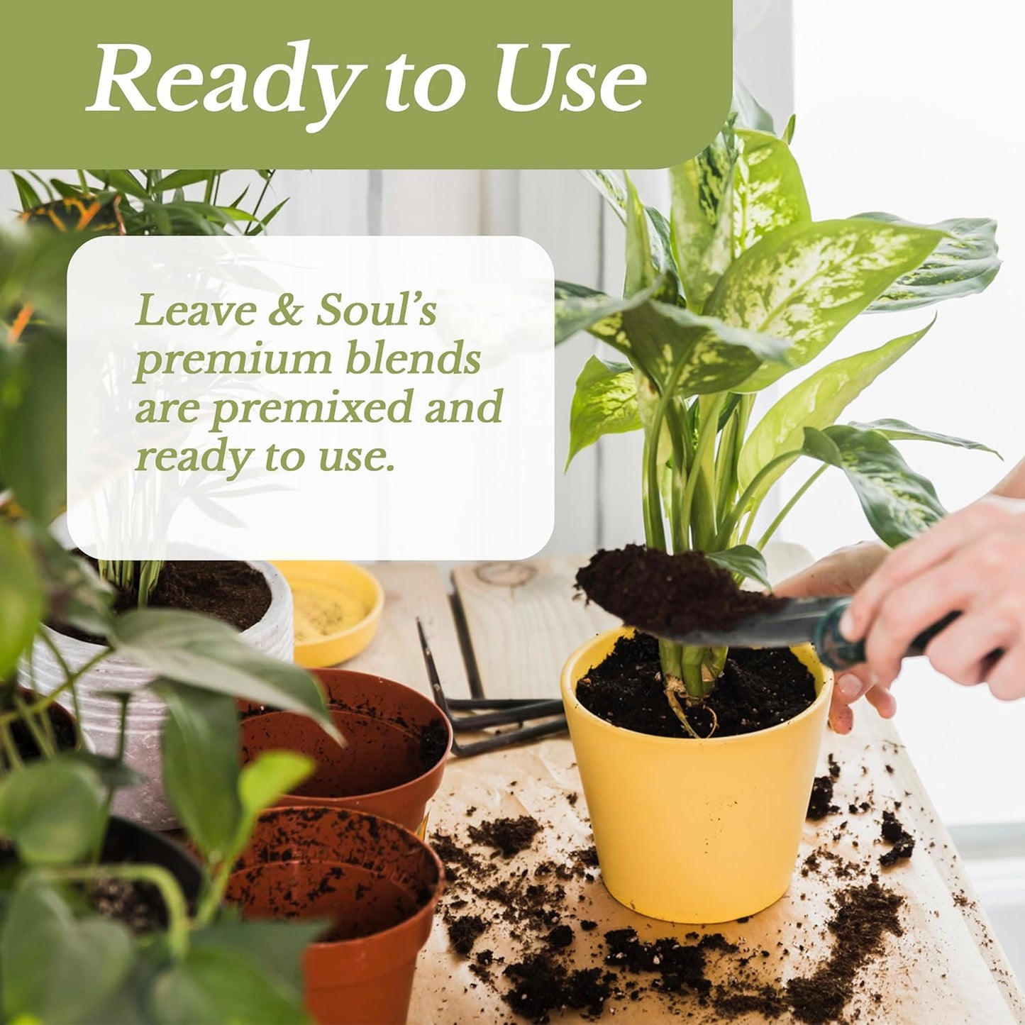 Bonsai Soil Premium All Purpose Blend | Pre-Mixed Ready to Use for Fast Drainage | Large 2.2 Quarts | Lava, Limestone Pearock, Calcined Clay and Pinebark | Made in USA