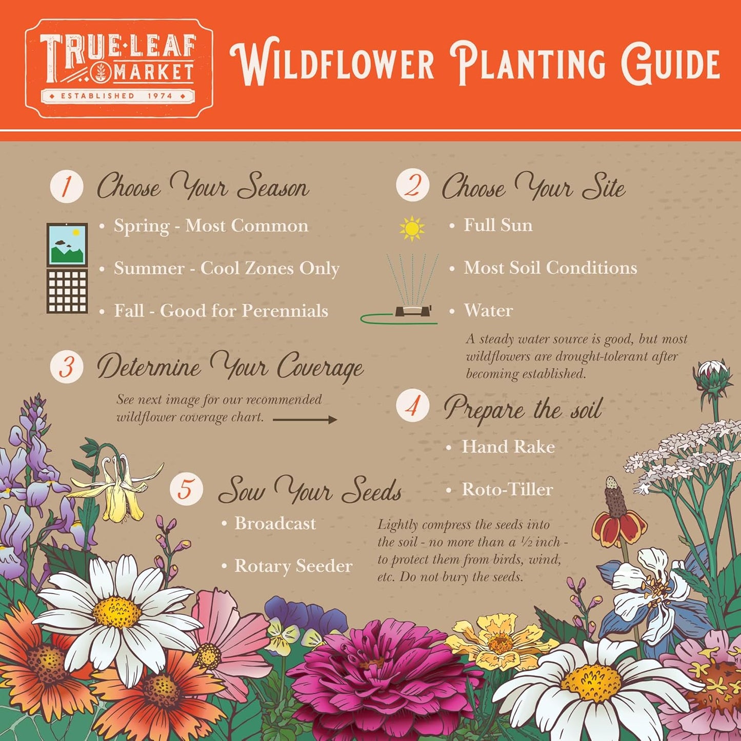 Wildflower Bulk, Southeastern Flower, 1 Lb. 640,000+ Seeds, Annual & Perennial Flowers with Native Southeastern Blooms, Pollinator Flower