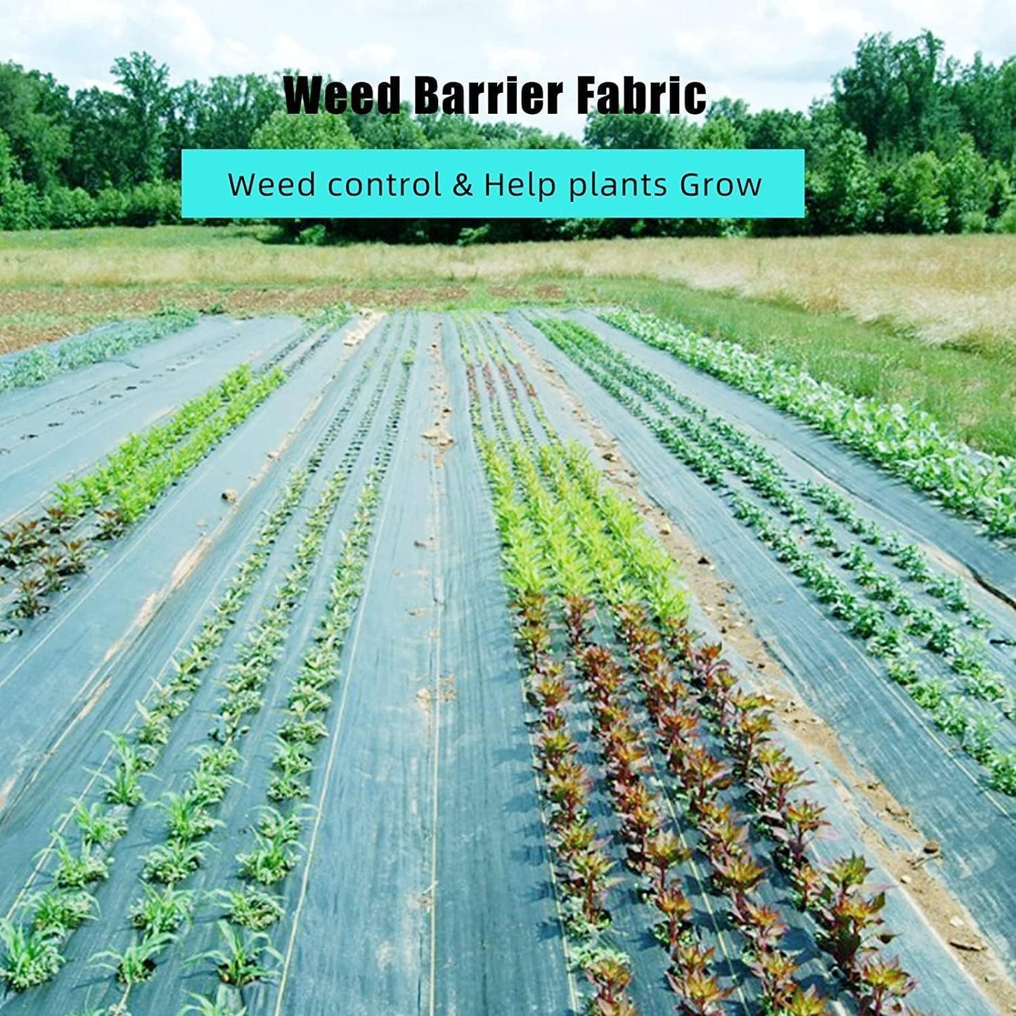 Garvee 4ft x 250ft Premium Weed Barrier Landscape Fabric, 5oz Heavy Duty, Weed Control Fabric, High Permeability Good for Flower Bed, Driveway Fabric Ground Cover