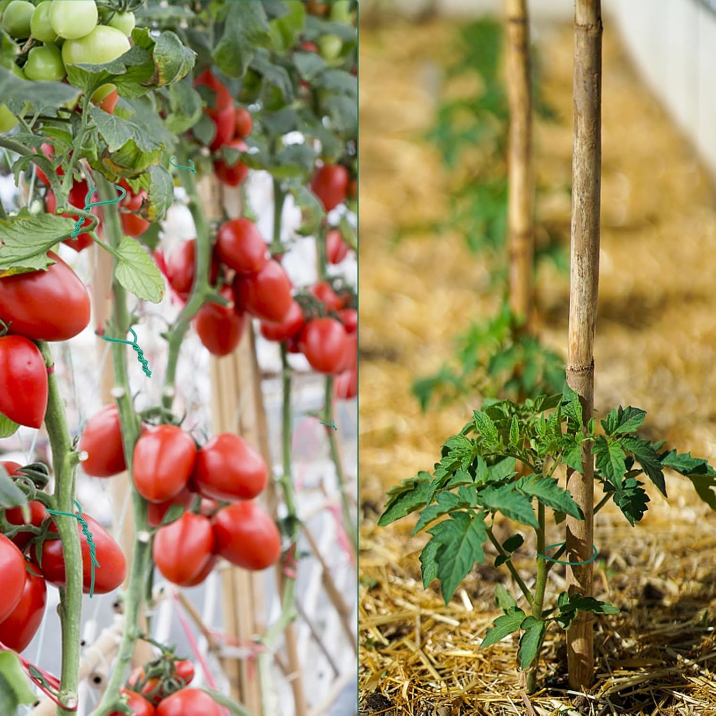 YDSL 88 feet Garden Flexible Wire, 3Pcs Soft Twist Plant Ties for Plant Vines and Office Organization (Diameter - 3MM)