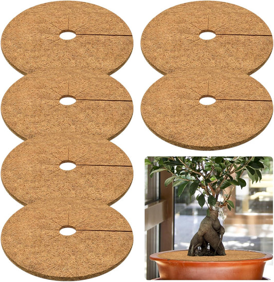ZeeDix 6 Pack Coconut Fiber Mulch Ring, 24 Inch Coco Coir Tree Ring Mulch Mat, 100% Natural Tree Protector Mat Plant Cover Ring Coconut Coir Discs Tree Mats Mulch Rings for Indoor Outdoor Trees Plants