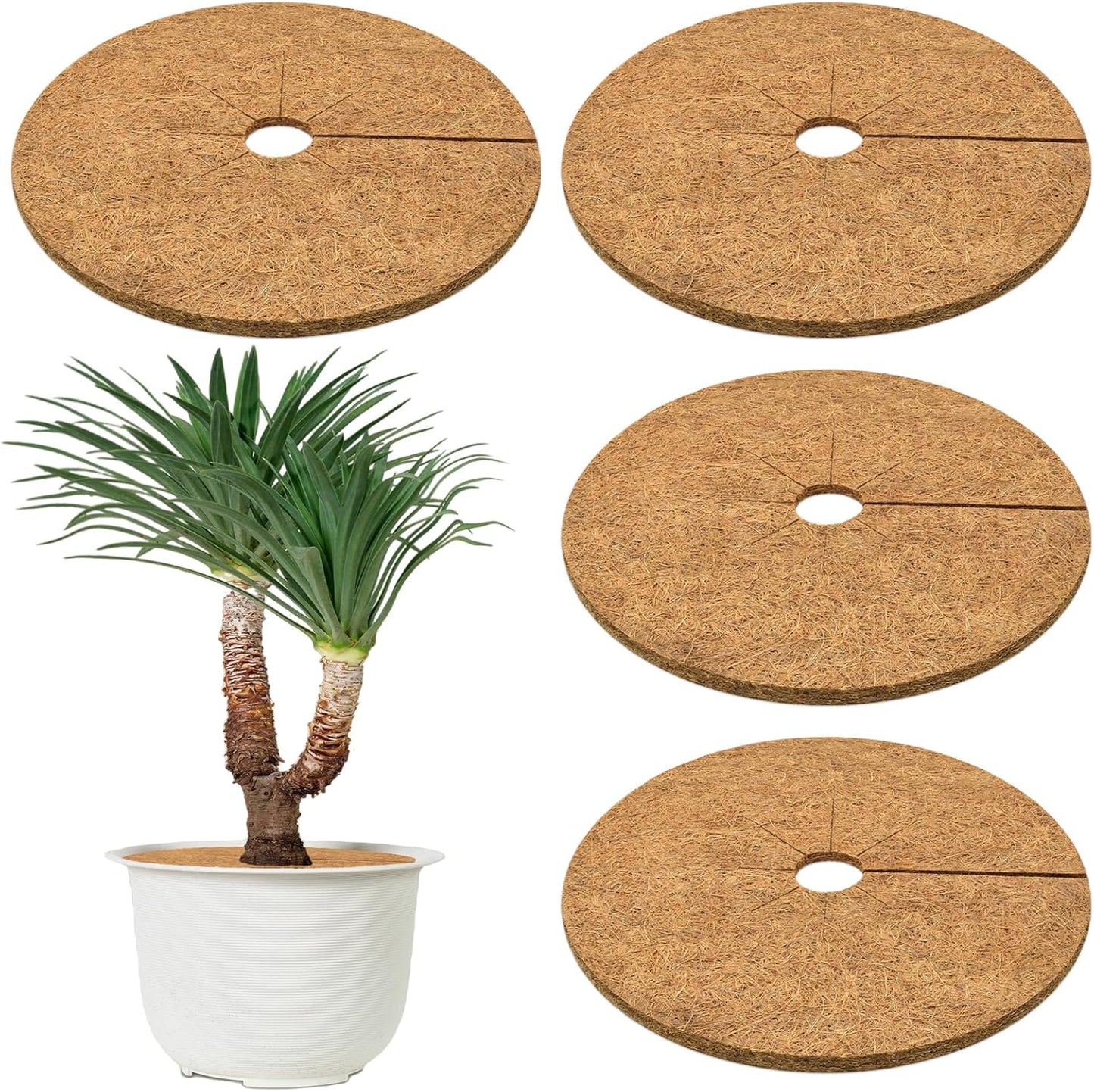 ZeeDix 4 Pack 18 Inch Coconut Fiber Tree Mulch Ring, 100% Natural Coco Coir Tree Ring Mulch Mat, Coconut Coir Discs Plant Cover Tree Protectors Mats Mulch Rings for Landscaping Trees Outdoor Plants