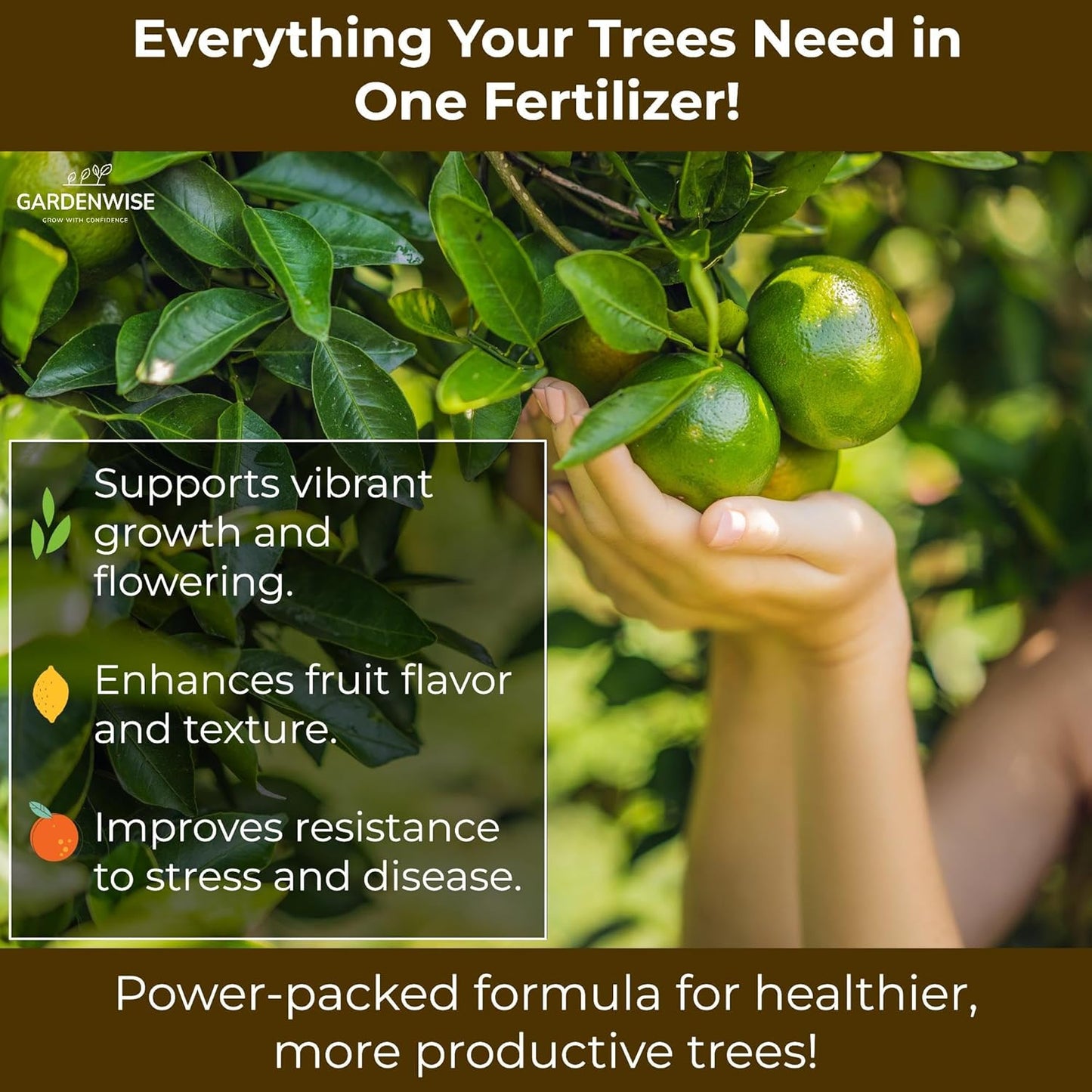 Professional Citrus Fertilizer + Vital Micronutrients; Perfect Balanced NPK for All Citrus; for Indoor and Outdoor Plants; Orange, Lime, Avocado and Lemon Tree Fertilizer (1 Quart)