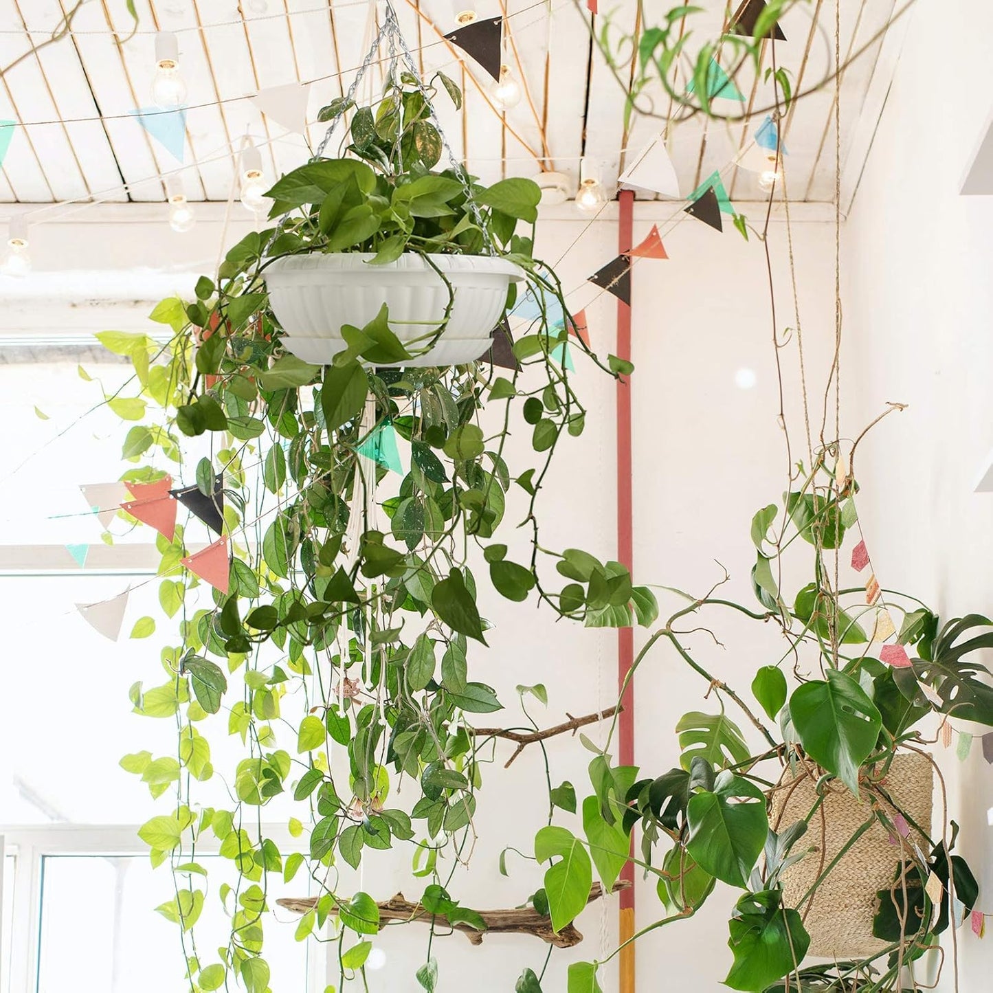 summer flower 12.59" Large Hanging Planters with Drainage Hole&Tray, Hanging Flower Pots Plastic Plant Hanger Holders Hanging Basket for Indoor Outdoor Home Garden Herb Succulent (Pack 3)