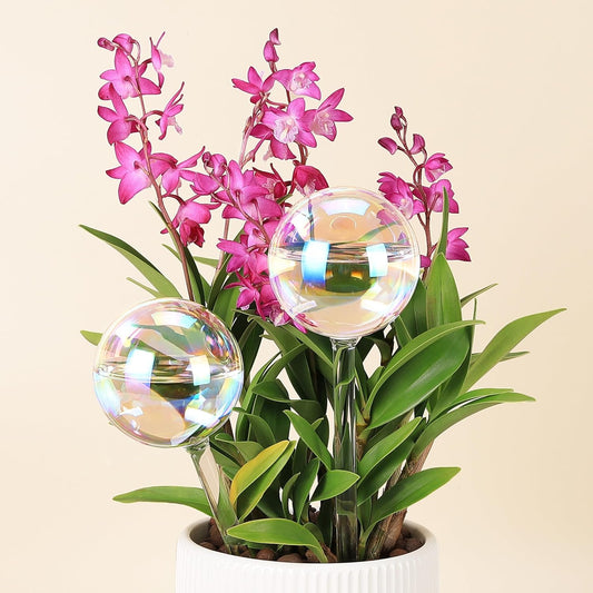 6.4 oz Medium Plant Self Watering Globes, Light Iridescent Glass Water Bulb for Indoor Plants While Away, Automatic Plant Waterer Self-Watering Stakes, Perfect Gardening Gifts, 2 Pack