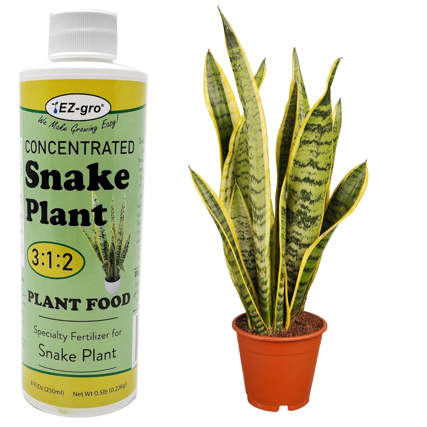 EZ-GRO Professional Liquid Snake Plant Fertilizer - 8 oz | 3:1:2 Concentrated Nutrient for Indoor Plant Food, Liquid Fertilizers for Houseplants | Houseplant Fertilizer to Boost Root Health