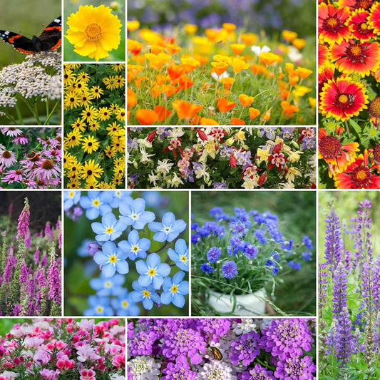 Eden Brothers Deer Resistant Wildflower Mixed Seeds for Planting, 25 lb, 12,000,000+ Seeds with Foxglove, Forget Me Not | Attracts Pollinators, Plant in Spring or Fall, Zones 3, 4, 5, 6, 7, 8, 9, 10