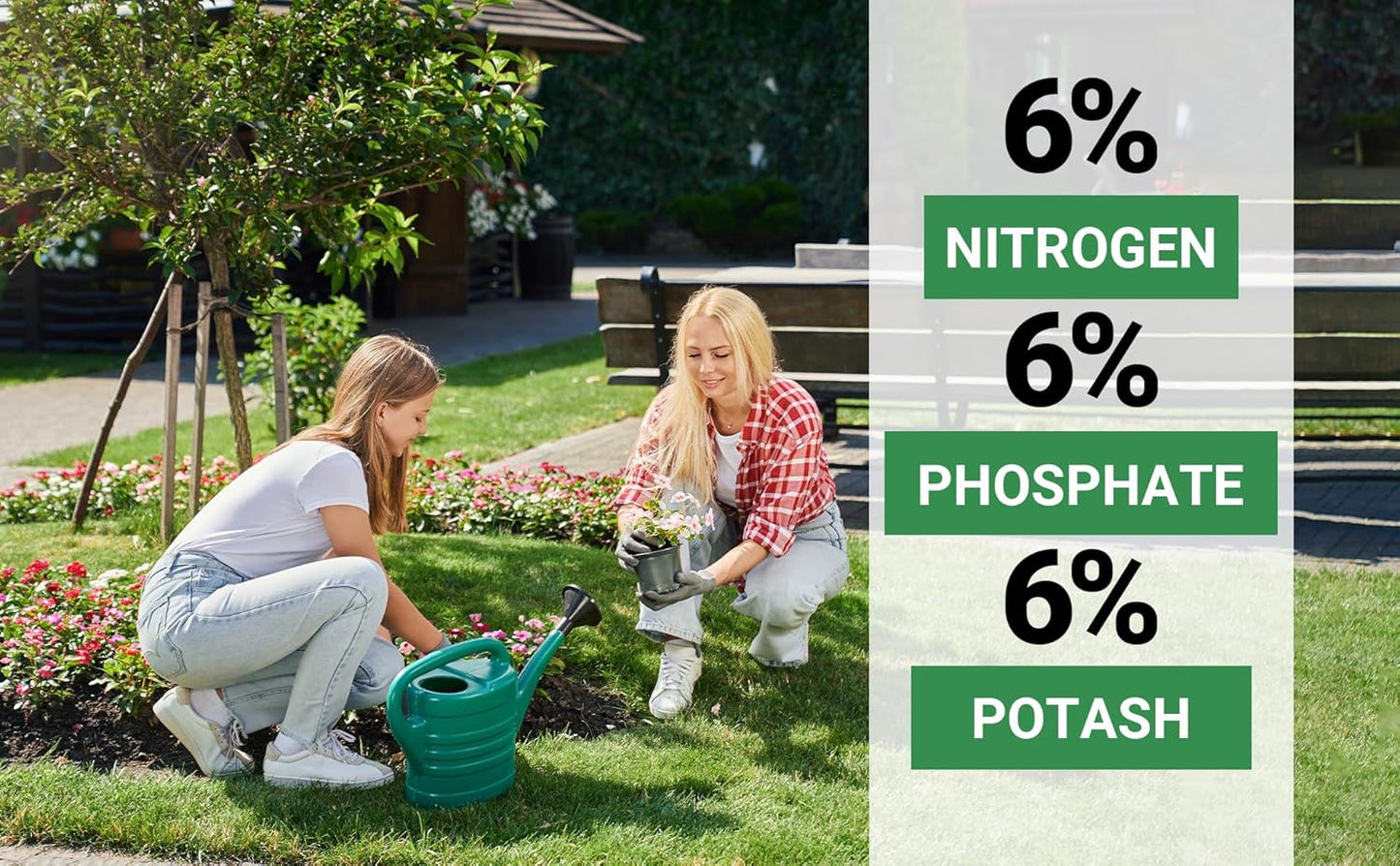 6-6-6 All-Purpose Professional Plant Food Fertilizer; Ideal for Winter Care & Spring Feeding, Perfect Balanced NPK for Indoor and Outdoor Plants (1/2 Quart)
