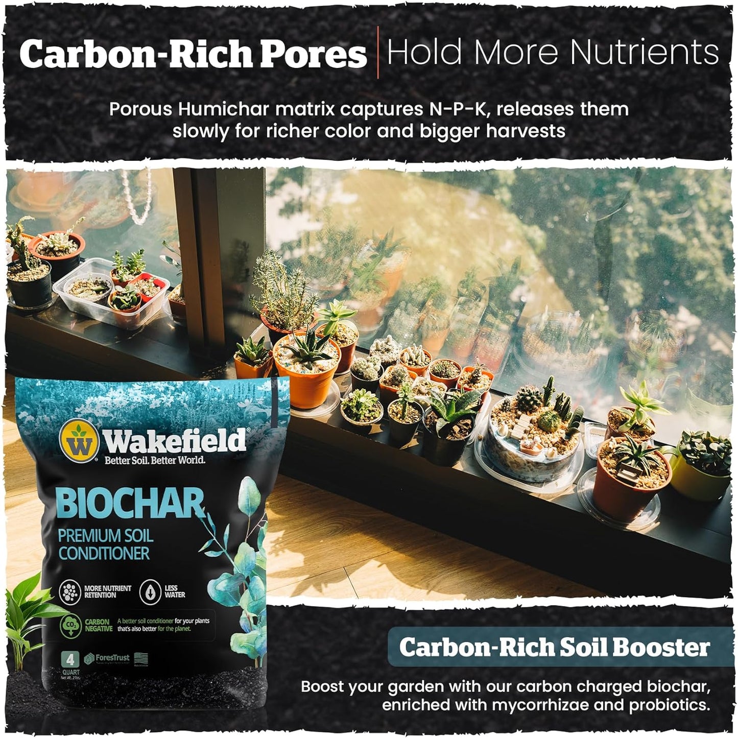 Wakefield Premium Biochar Soil Conditioner – 100% Pure Organic Biochar Soil to Boost Nutrient Retention and Water Efficiency for Houseplants, Gardens, & Lawns – 4 Quarts