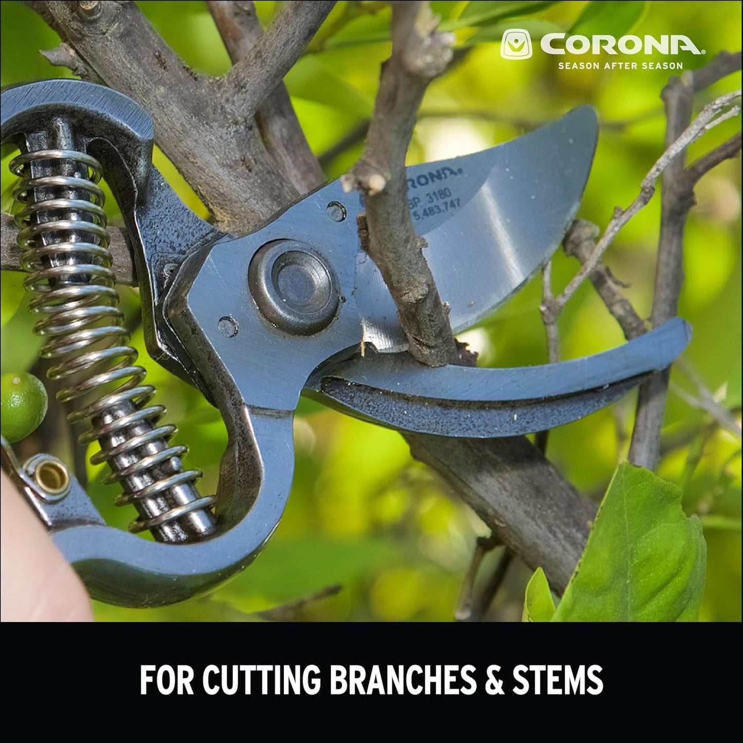 Corona BP 3180D Forged Classic Bypass Pruner with 1 Inch Cutting Capacity, 1", Red