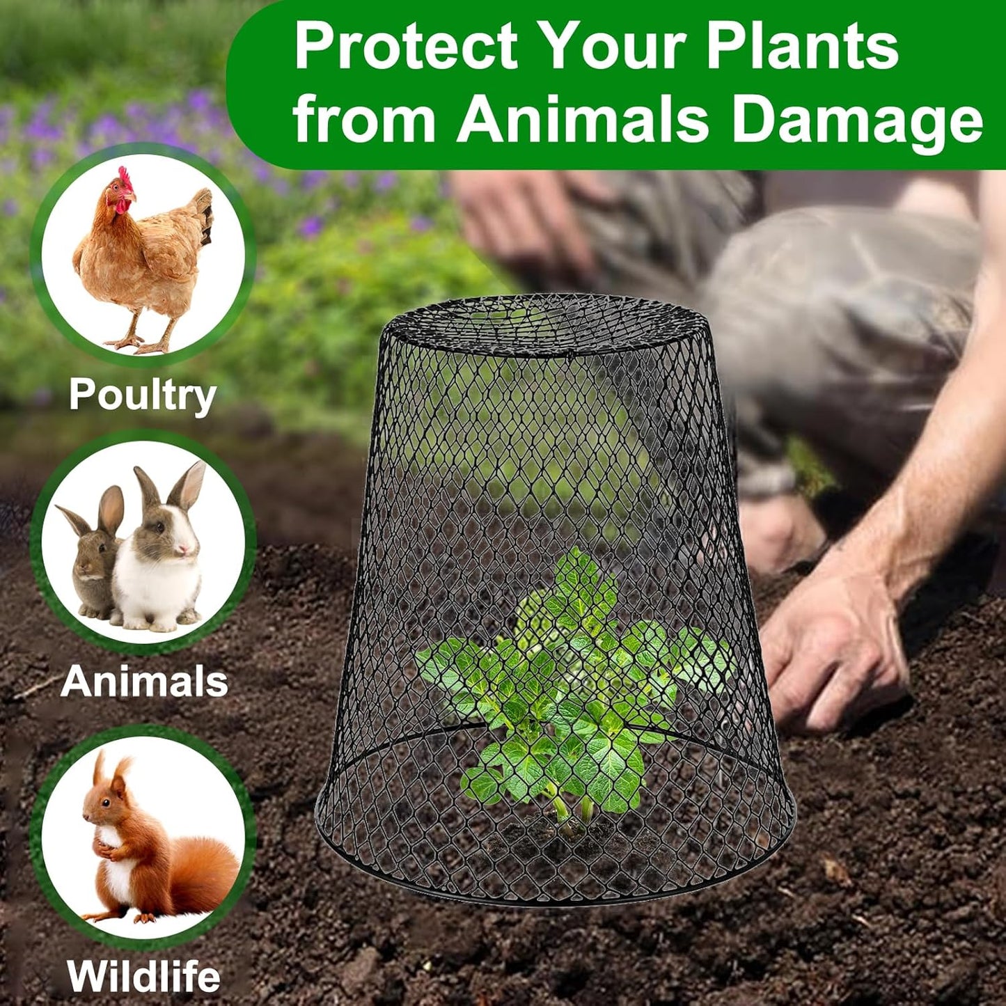 Chicken Wire Cloche Plant Covers - 20 Pack Garden Plant Cloche Metal Heavy Duty Plant Protectors from Animals for Keeping Bunnies Chicken Squirrels Birds Other Out (Black)