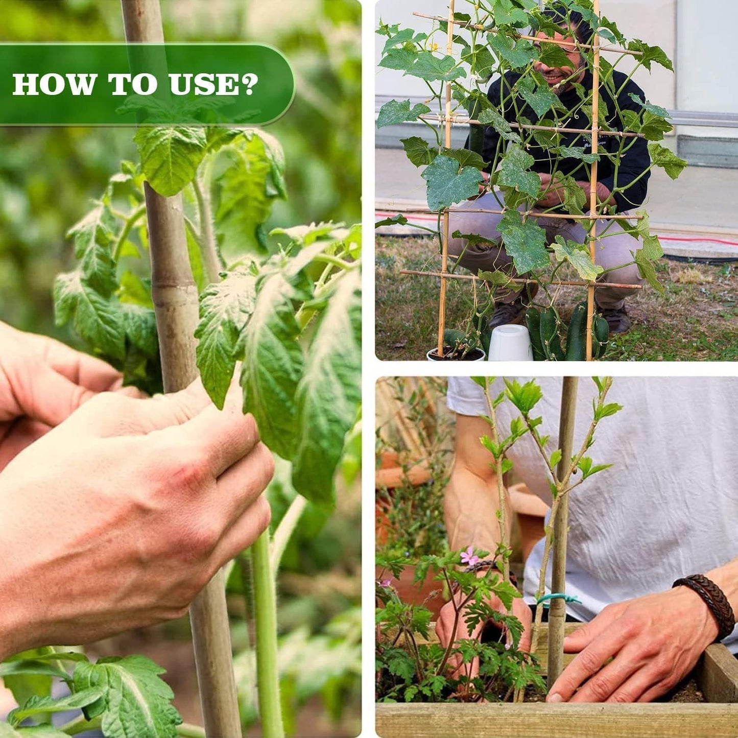 3/10" D 2 Feet Bamboo Stakes 50 Pack, Thicker Heavy-Duty Plant Stakes, Natural Garden Stakes for Bean, Tomato, Bean, Flowers,Trees Potted and Climbing Plant Support