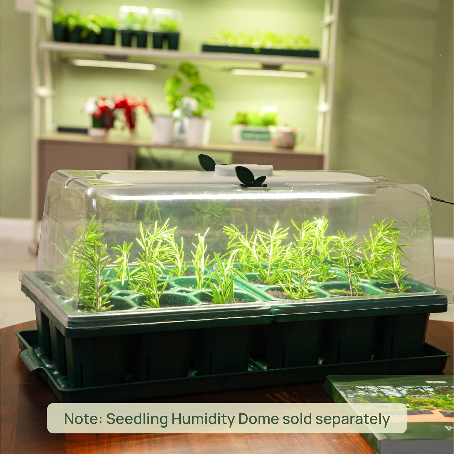 Vego garden Giga Seedling Trays - 2 Pack, 9-Cell UV-Resistant Reusable Starter Trays for Greenhouse/Garden (No Lids)