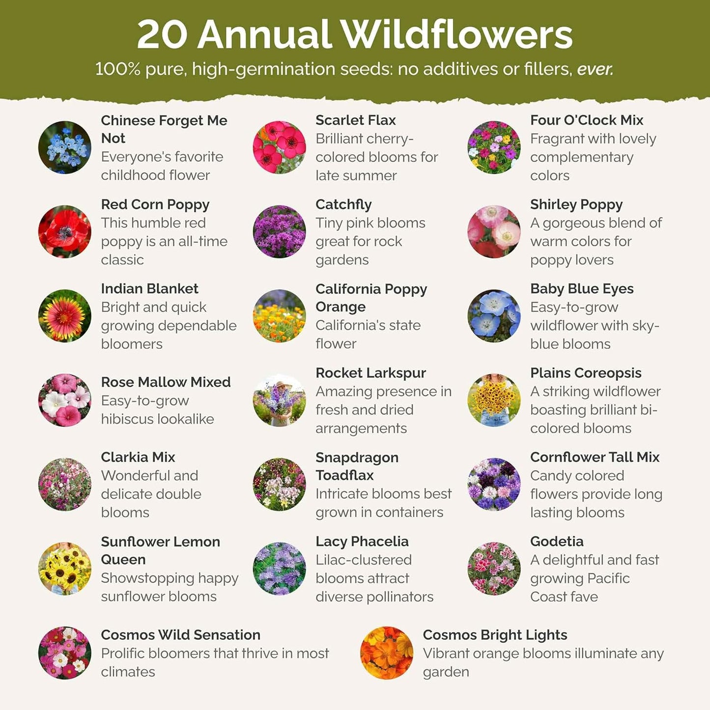 Eden Brothers All Annual Wildflower Mixed Seeds for Planting, 1/4 lb, 120,000+ Seeds with Sunflower, Indian Blanket, Scarlet Flax | Attracts Pollinators, Plant in Spring, Zones 3, 4, 5, 6, 7, 8, 9, 10