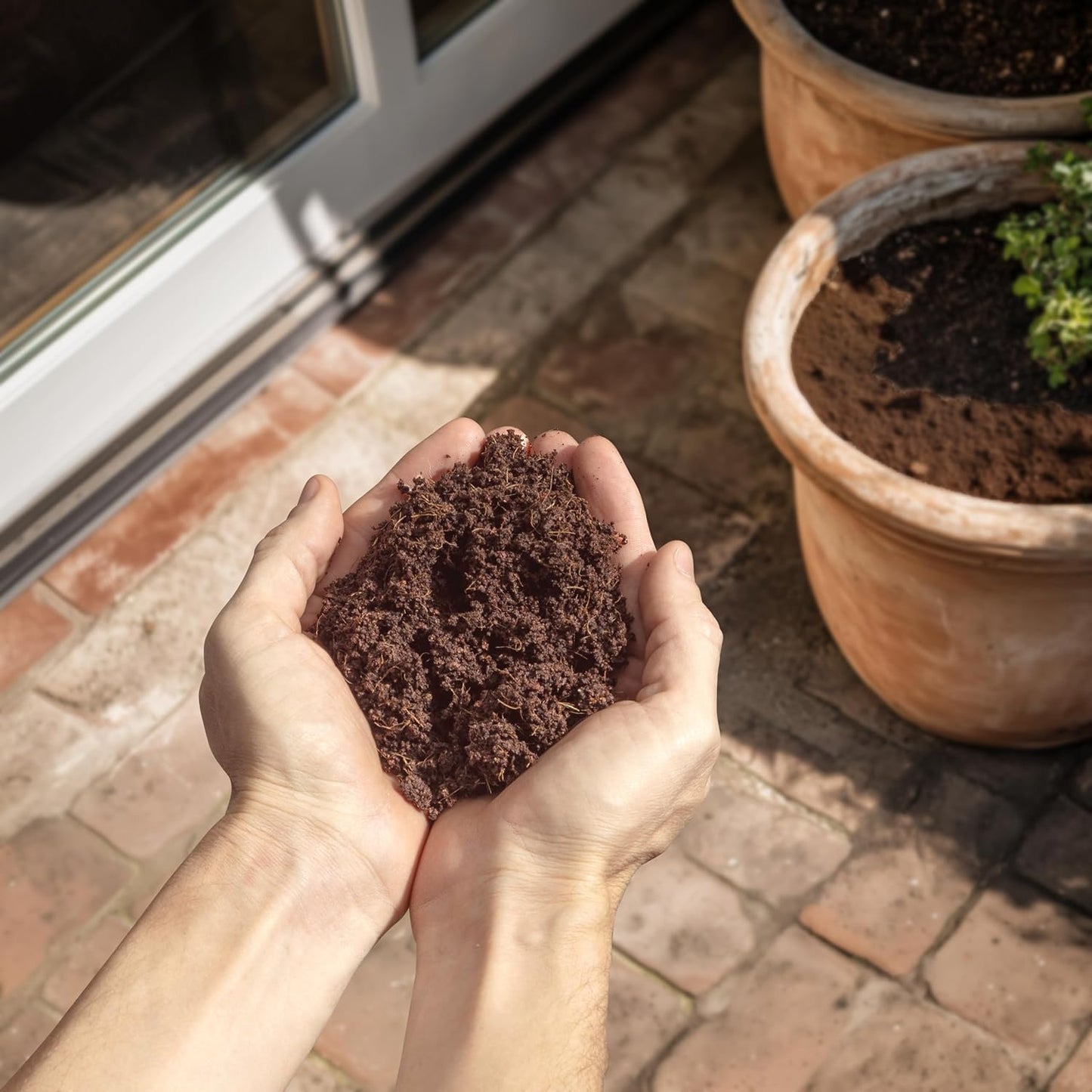 Coconut Coir Potting Soil for Indoor Plants - Expands to 5 Quart (11 lb) | Bonsai Soil Discs Perfect for General Houseplants, Herbs, and Bonsai Trees - Expands with Water