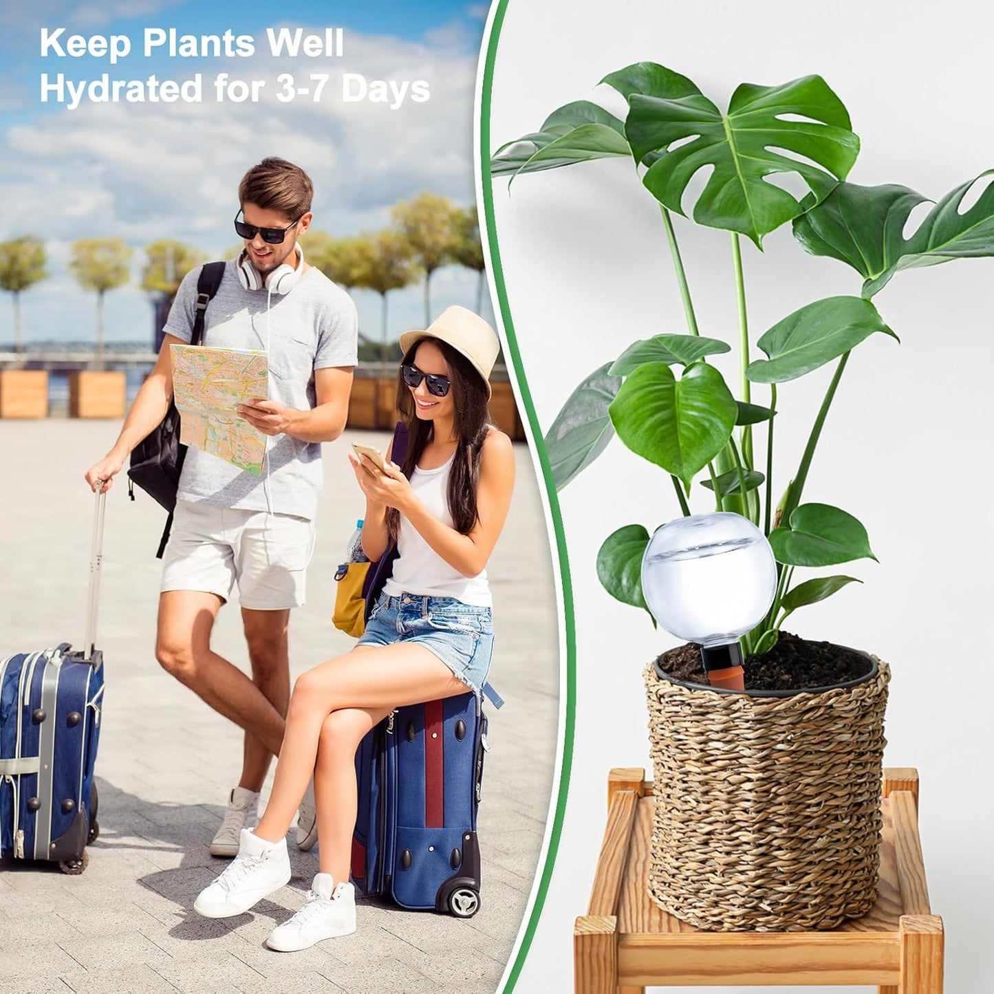 2 Pack Plant Watering Globes 17oz Self Watering Planter Insert Indoor/Outdoor Plant Watering Devices for Automatic Drip Irrigation