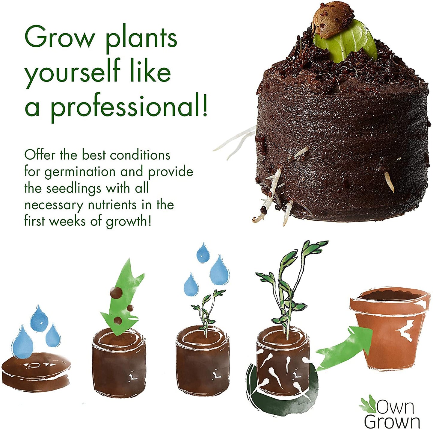 Coco Coir Seed Starter Pellets: 125 Coconut Coir Plugs for Growing Plants - Peat Free Seedling Soil - Seed Starter Kit with Potting Soil Pellets - Gardening Supplies from OwnGrown