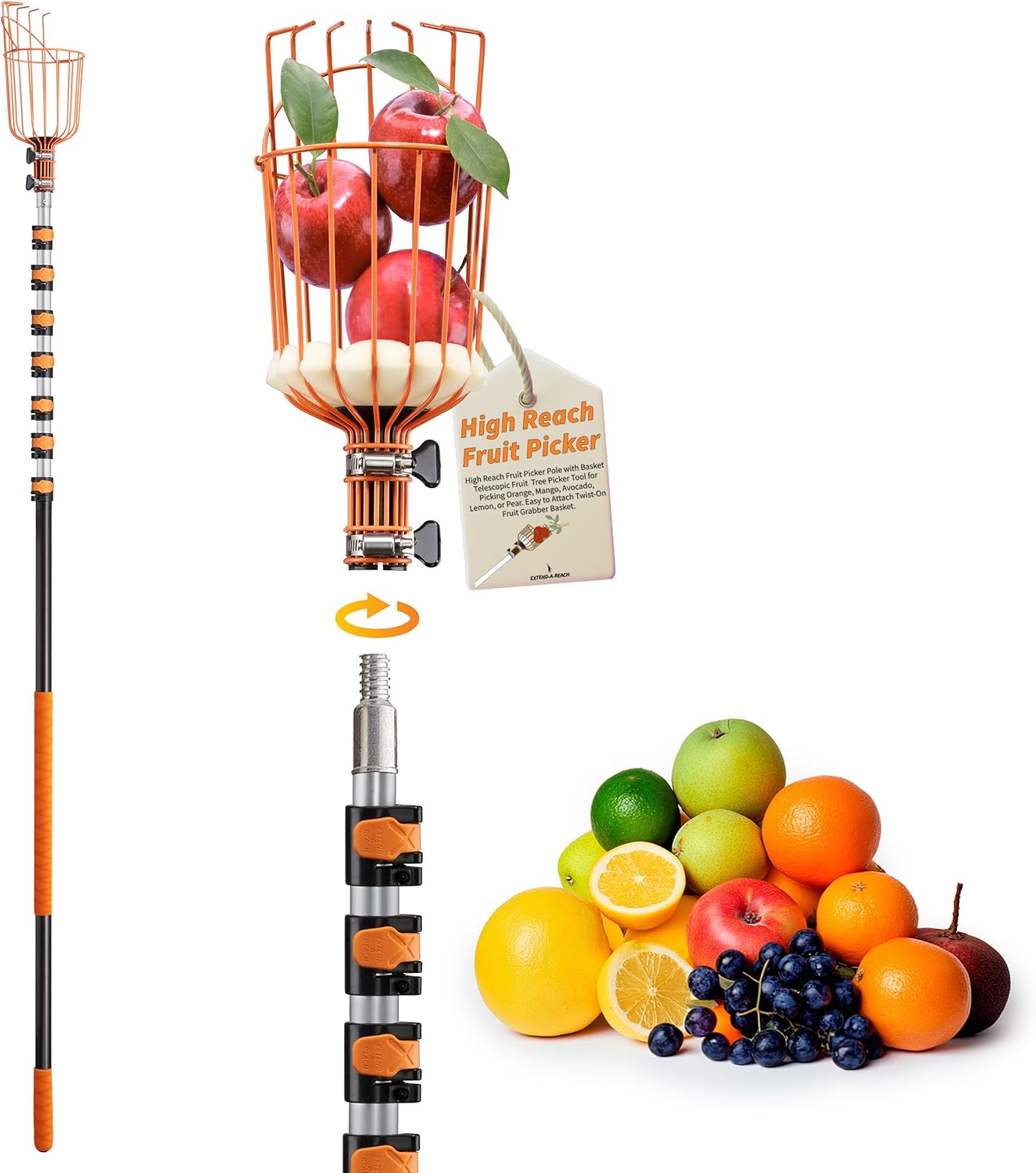 Fruit Picker Pole with Basket Telescoping 5-30 ft Apple Picker Extension Pole // Telescopic Fruit Tree Picker Tool for Picking Orange Mango Avocado Lemon Pear // The Ultimate High-Reach Fruit Grabber