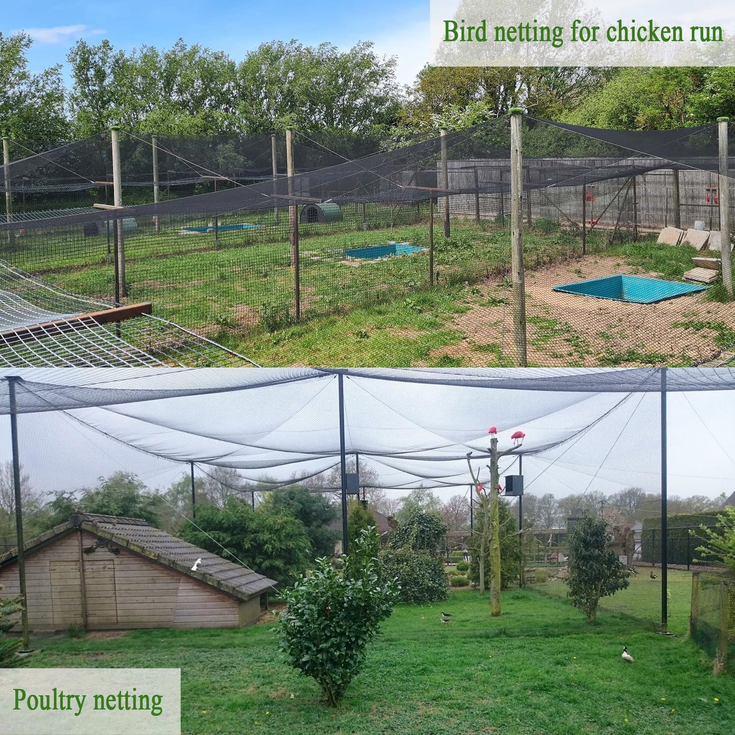 Bird Netting for Chicken Coop 20x20Ft, 1/2" Mesh, Strong Woven Poultry Netting Roof Cover for Chicken Run, Heavy Duty Bird Net for Fruit Trees, Blueberry, Vegetables, Garden Protection