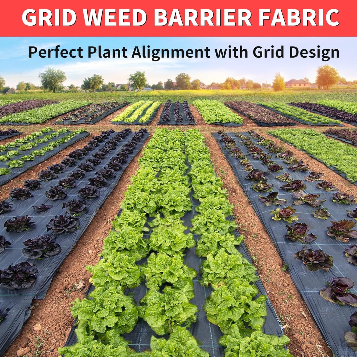 3ft x100ft Landscape Fabric -Heavy Duty Weed Barrier Fabric for Landscaping, Weed Blocker Cloth,Geotextile Fabric for Garden, Driveway & Ground Cover, Garden Weed Mats,Grid Design
