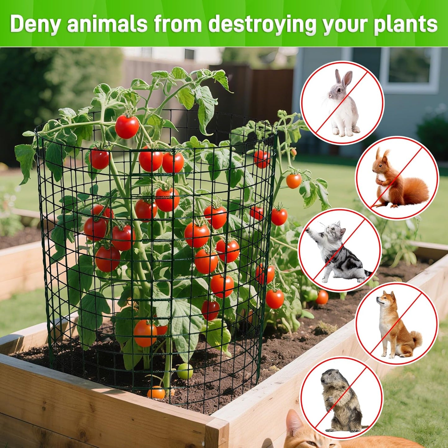 16pcs Plant Protectors from Animals, 20"x 12" Wire Plant Protector, Wire Cages for Plants with Stakes and Cable Ties, Metal Plant Cages for Plants, Vegetables, Flowers