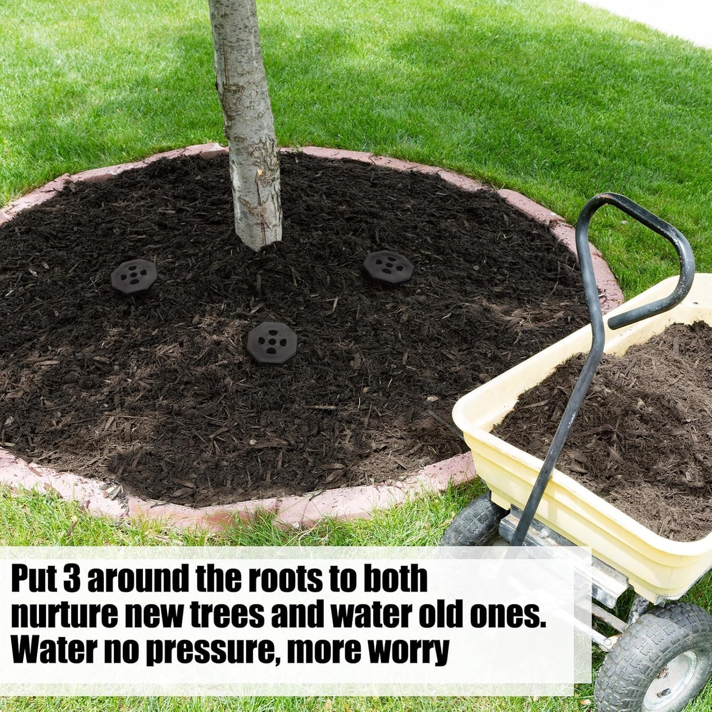 6 Pack Garden Watering Stake Large UV-Protected ABS Plastic Deep Root Irrigation Spike for Trees, Shrubs, Bushes, Shrubs, Flowers, Fruits, Vegetables, Potted Plants (8 Inch)
