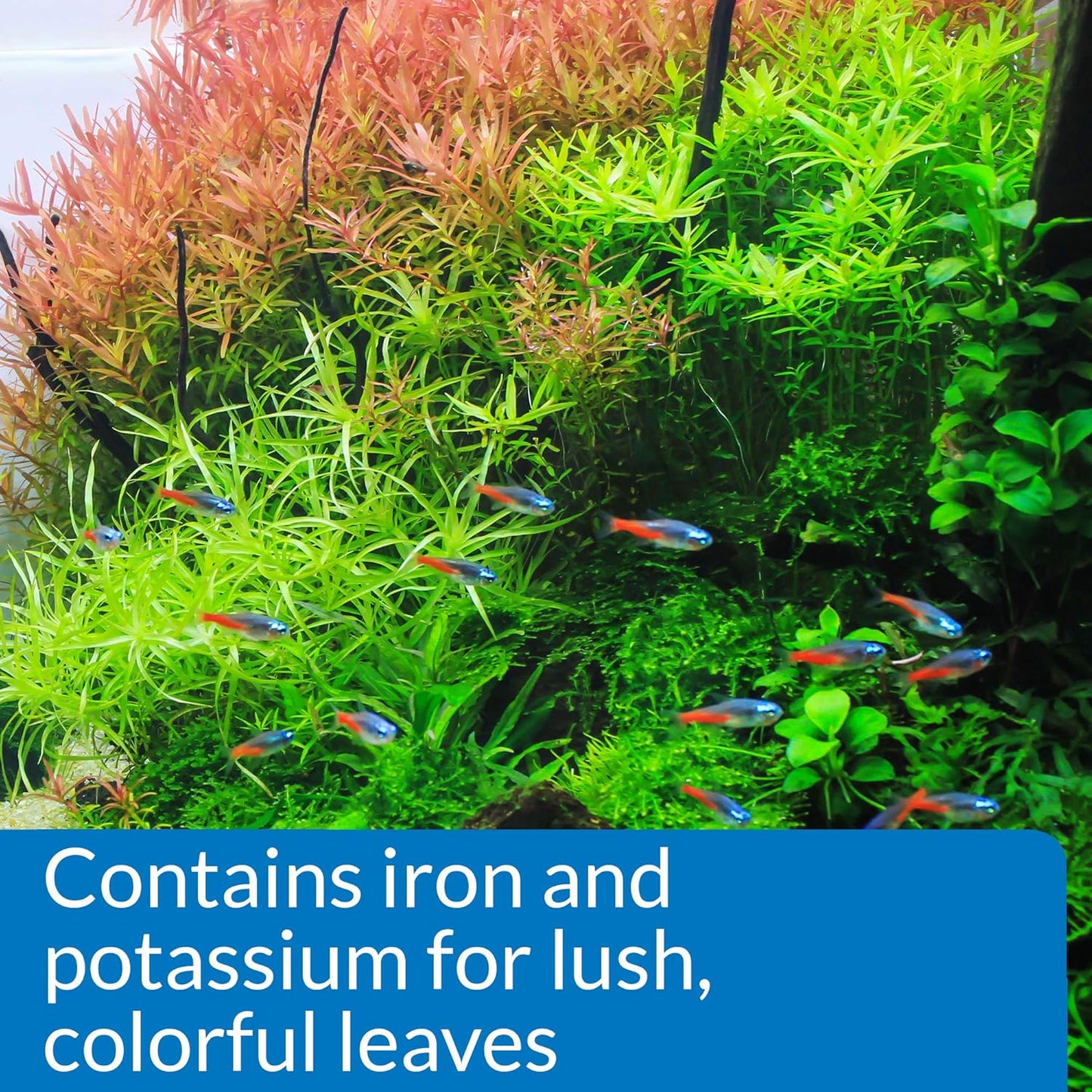 API LEAF ZONE Freshwater Aquarium Plant Fertilizer 18-Ounce Bottle White