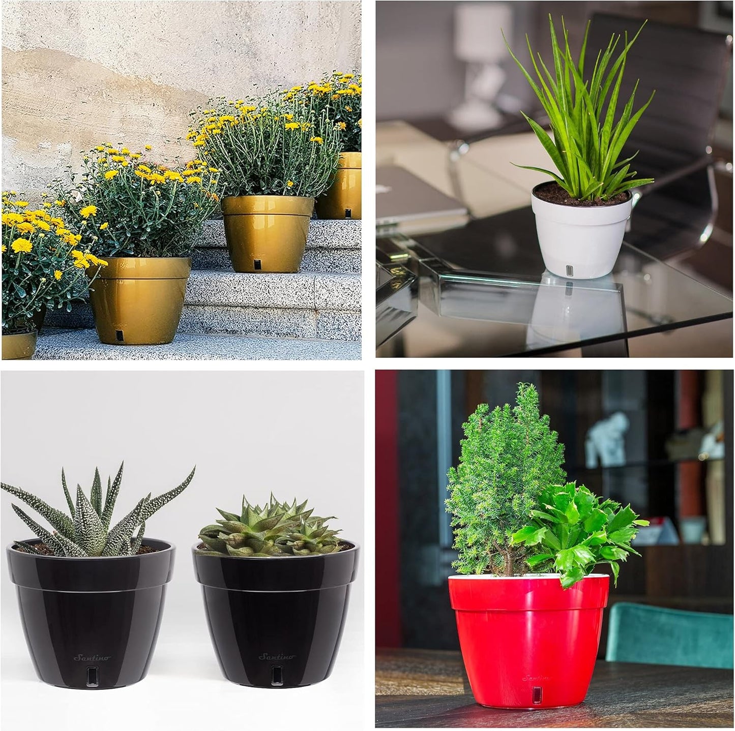 Santino ASTI 11.8 Inch Self Watering Planters Shade/White (Set of 3) for Indoor Plants - Premium Quality Modern Plastic Pot w/Water Level Indicator for All House Plants, African Violets and Dahlias