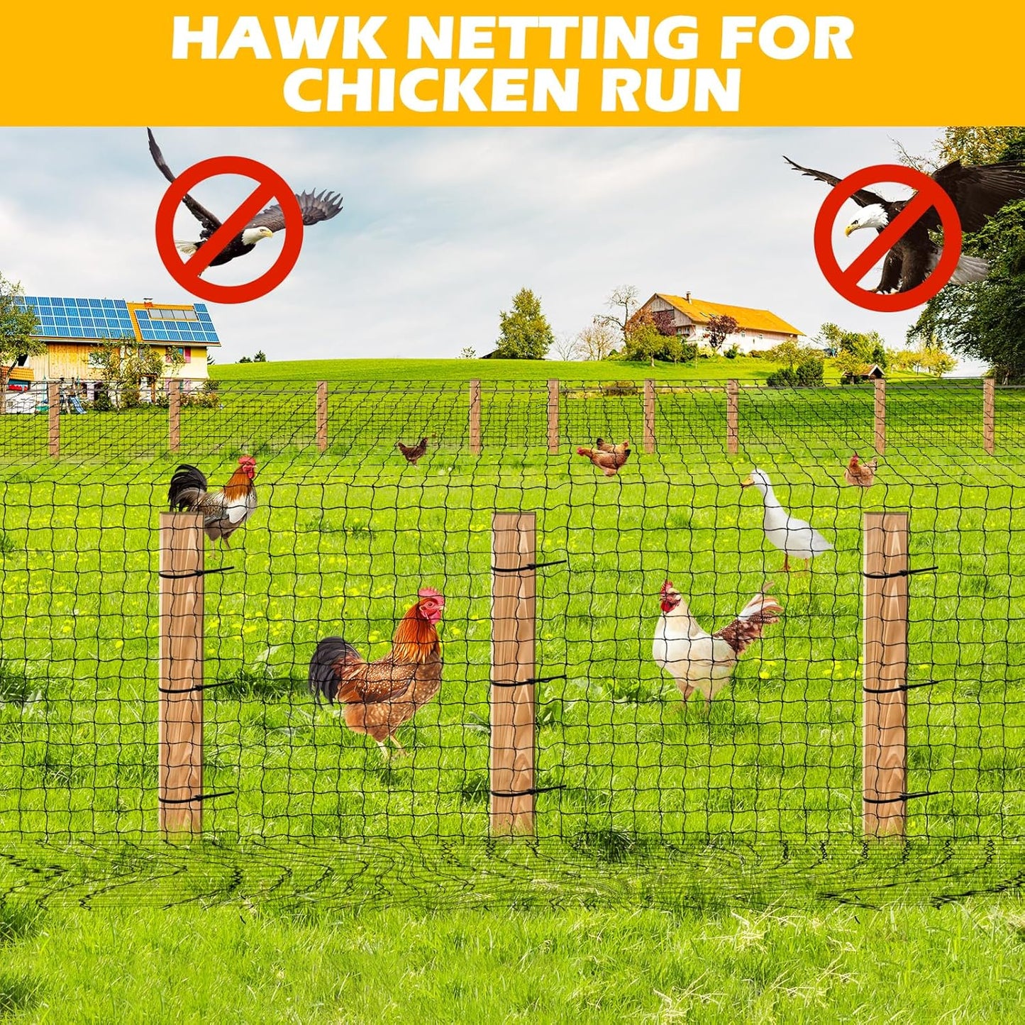 Nylon Bird Netting 50'x50' with 2.4" Square Mesh Hawk Net for Chicken Run, Poultry Netting Aviary Nets Garden Bird Net for Chicken Coop Nettings Roof Hawk Proof