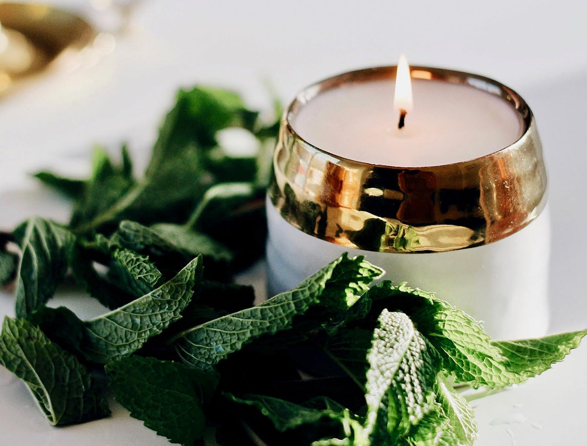 The Growing Candle, Lemongrass Scented, 10oz Ceramic Pot, Single Wick Aromatherapy Candles, 100% Soy for Women and Men, Clara