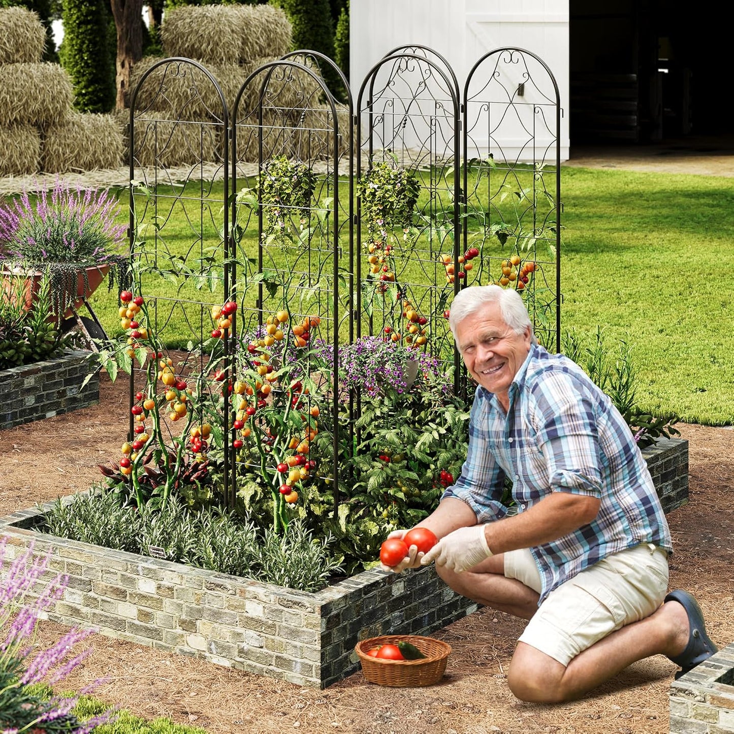 Garden Trellis 2 PCS - Tall 75 Inch x 20 Inch Metal Trellis for Climbing Plants & Vegetables | Rustproof Black Powder Coated Outdoor Plant Support | Patio Decor for Vines, Roses, Cucumbers, Tomatoes